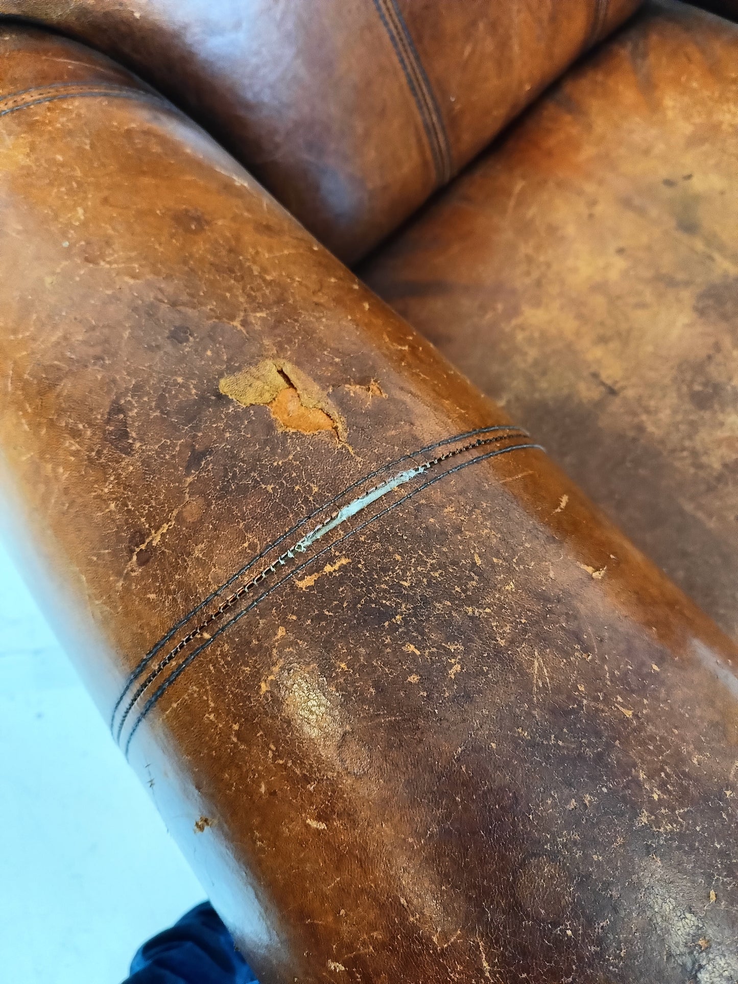 Sheep Leather Club Chair