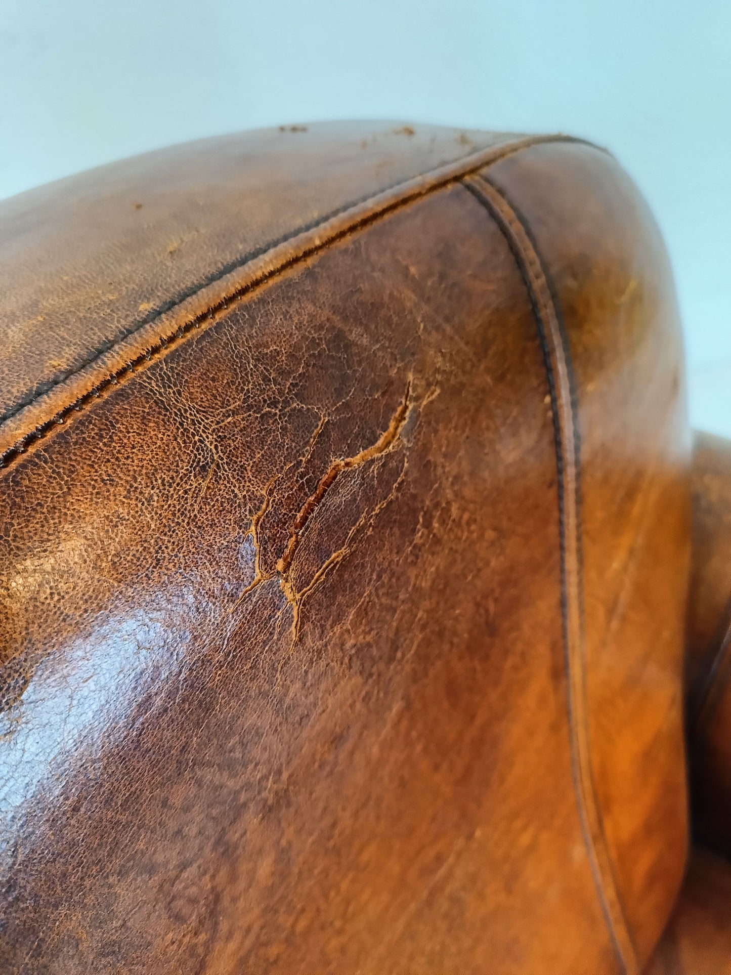 Sheep Leather Club Chair