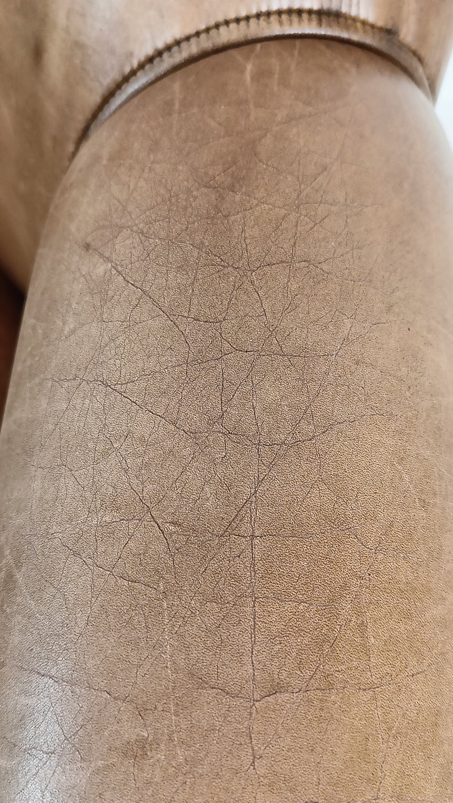 Bovine Leather Arm Chair