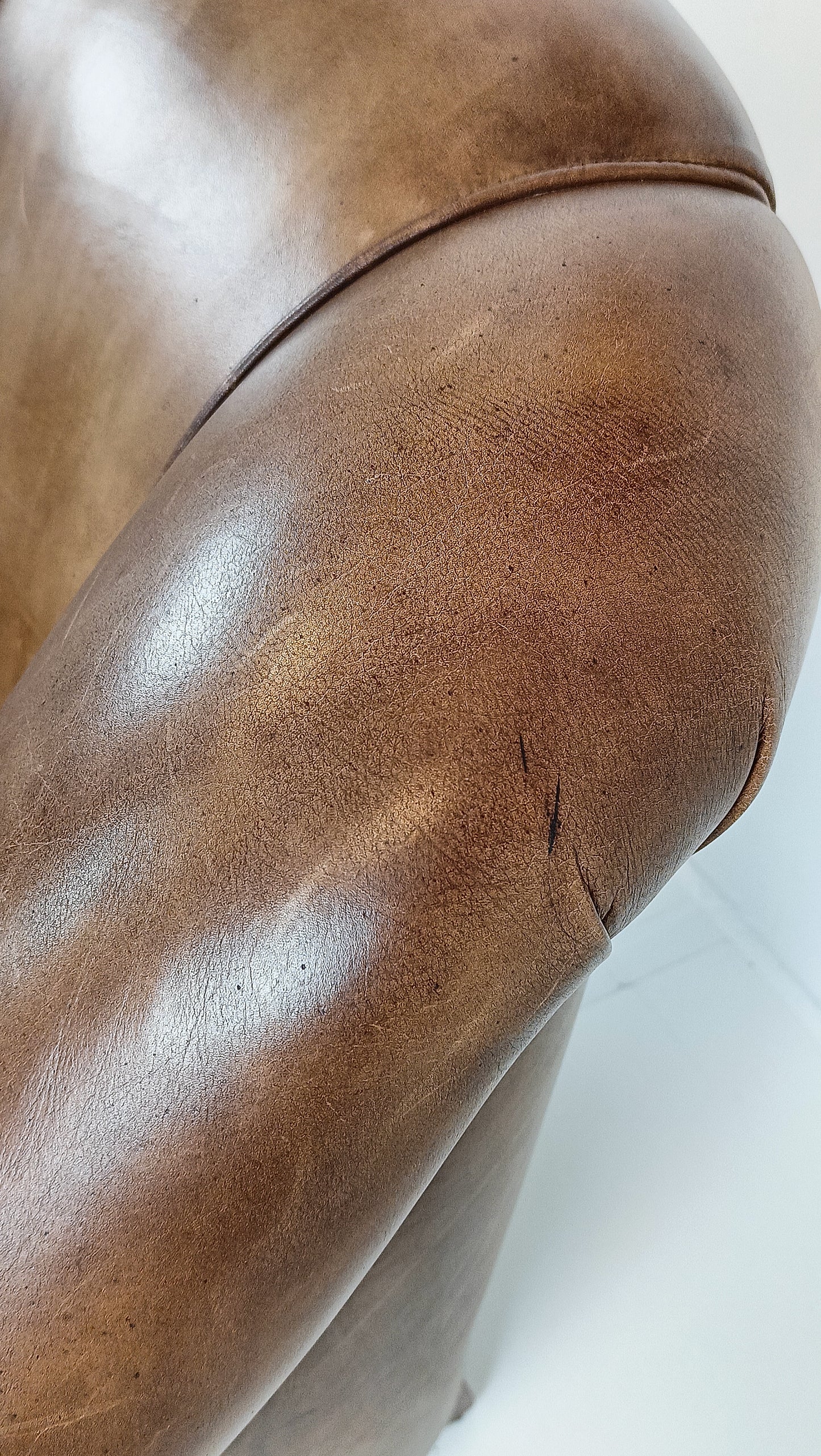 Bovine Leather Arm Chair