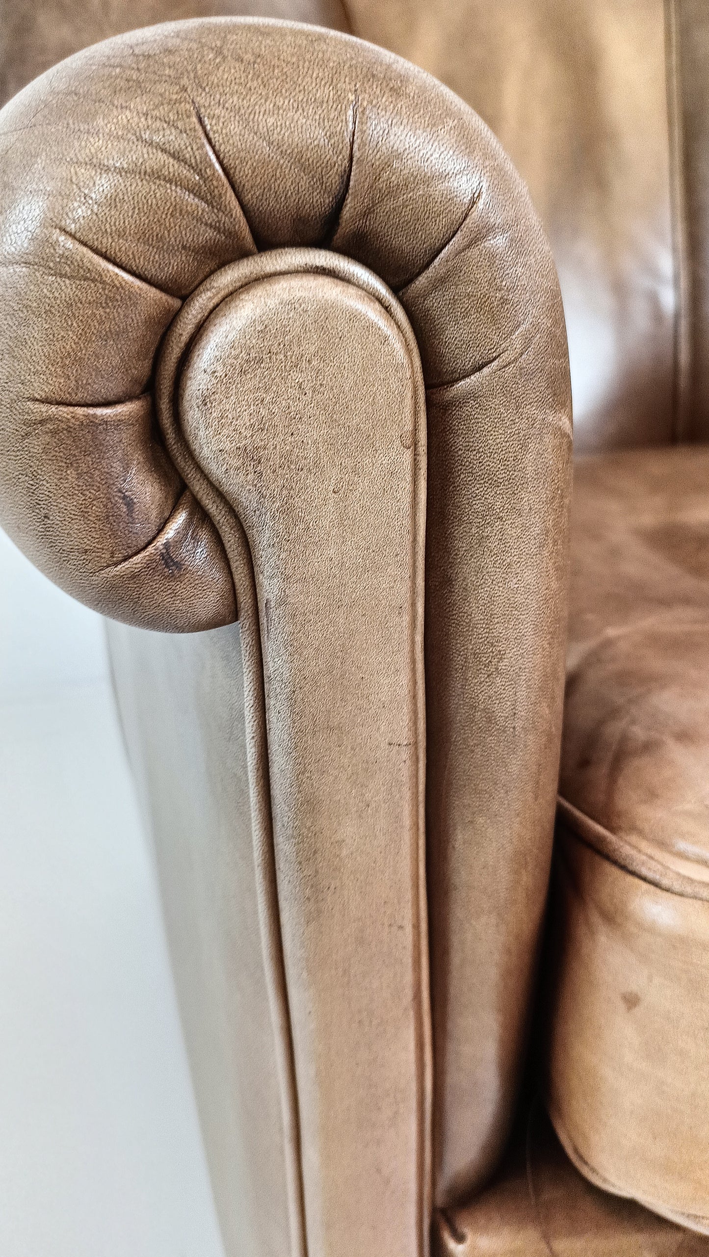 Bovine Leather Arm Chair