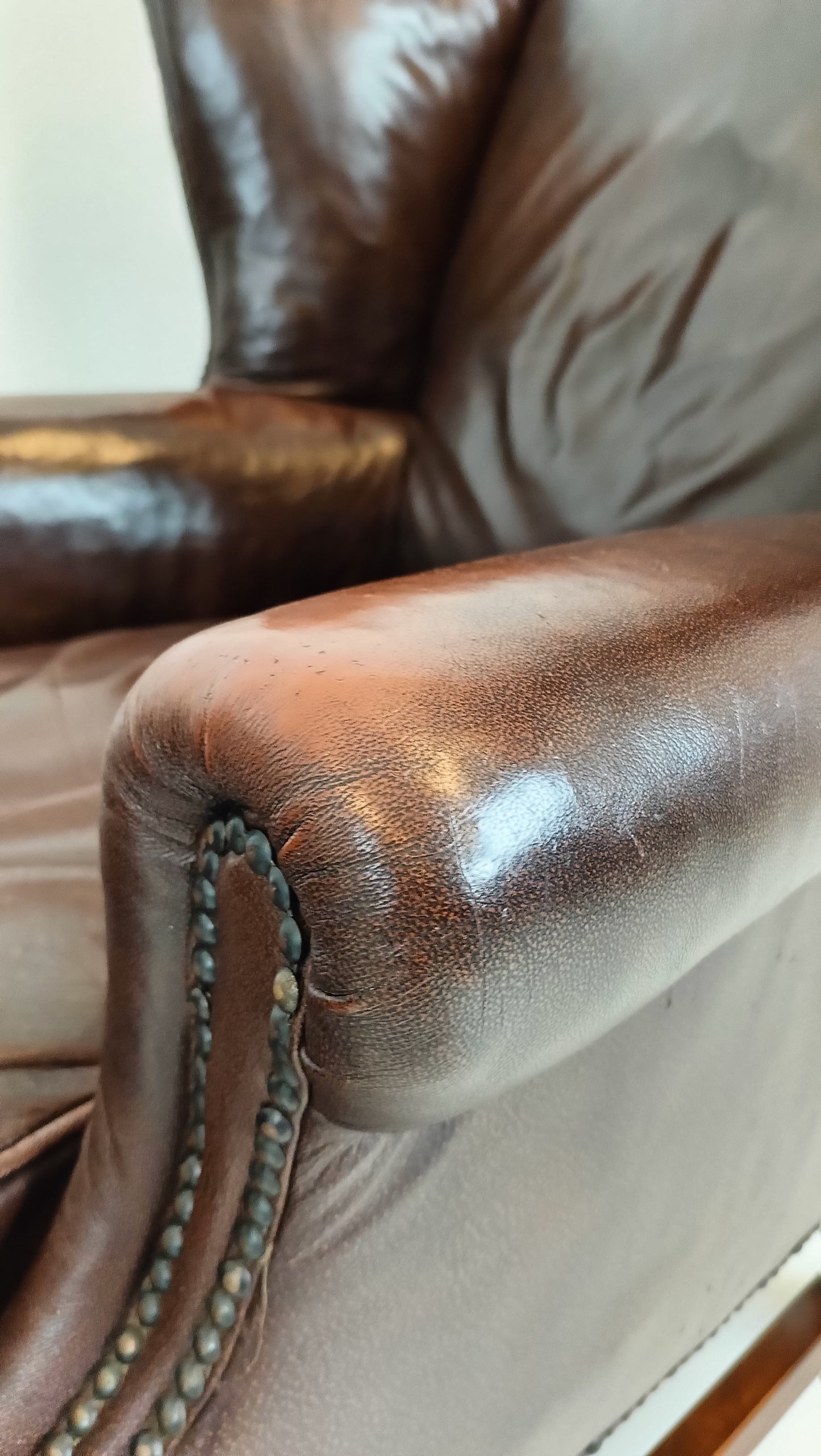 Set Of Bovine Leather Chairs