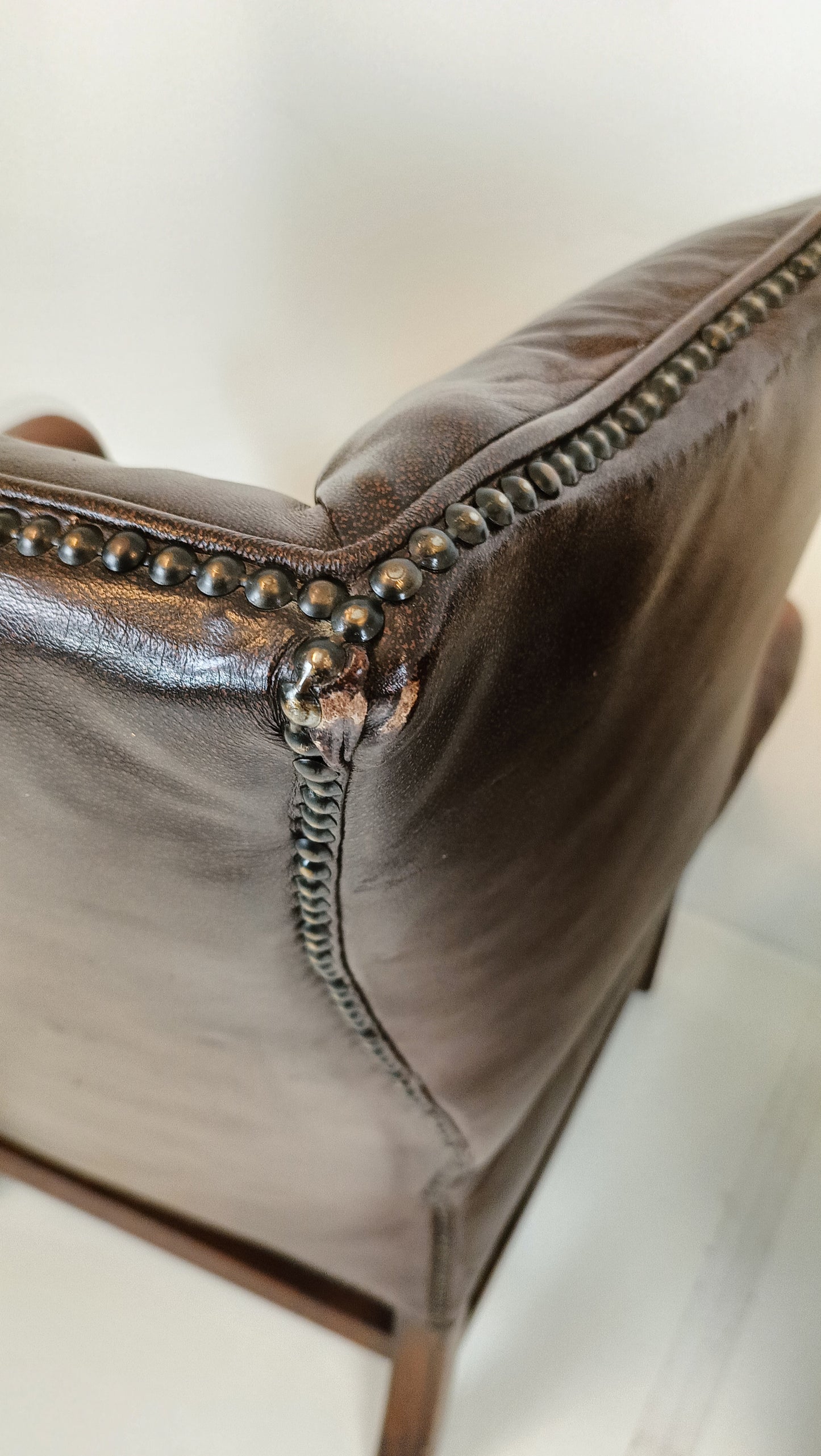 Set Of Bovine Leather Chairs