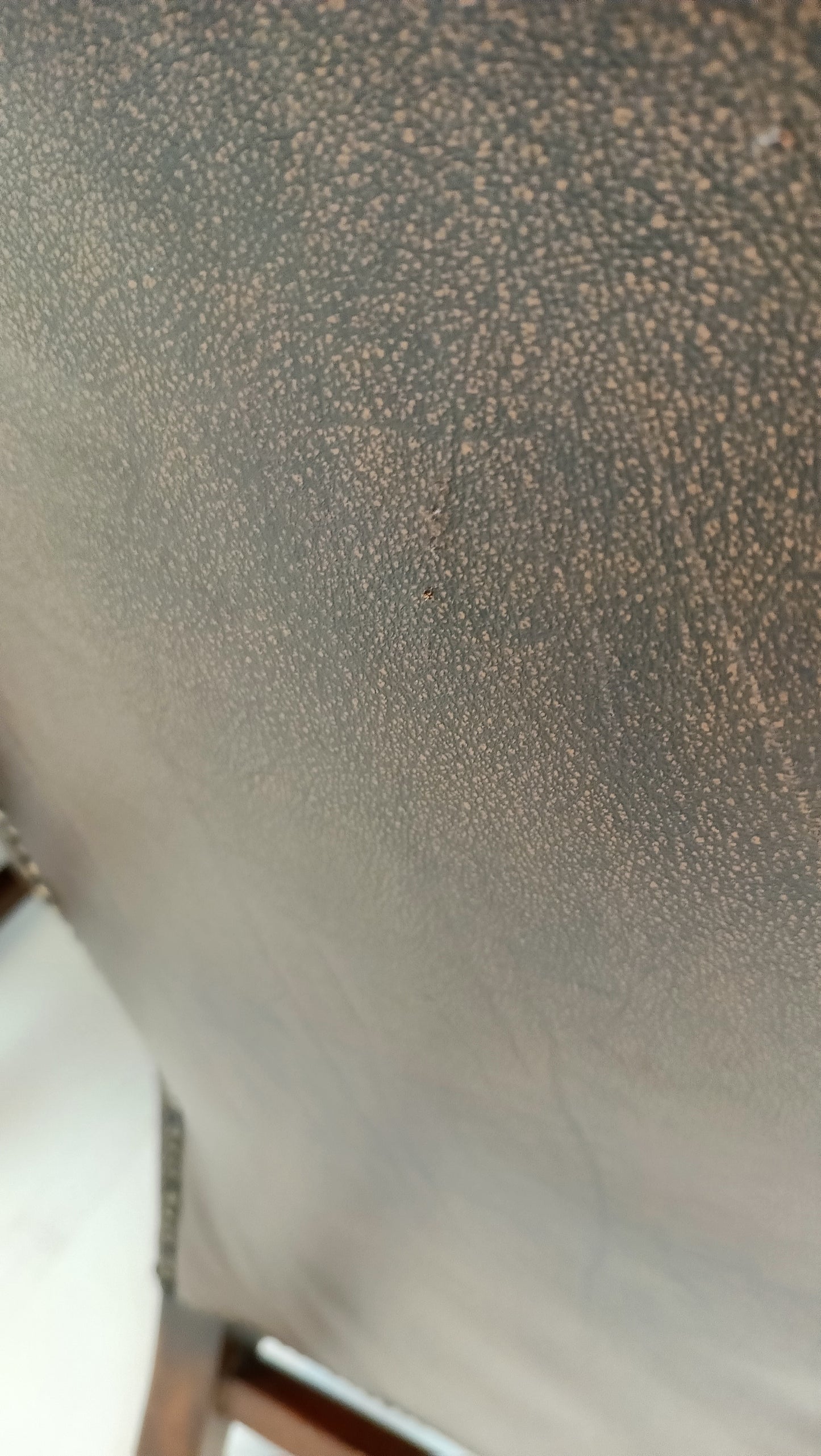 Set Of Bovine Leather Chairs