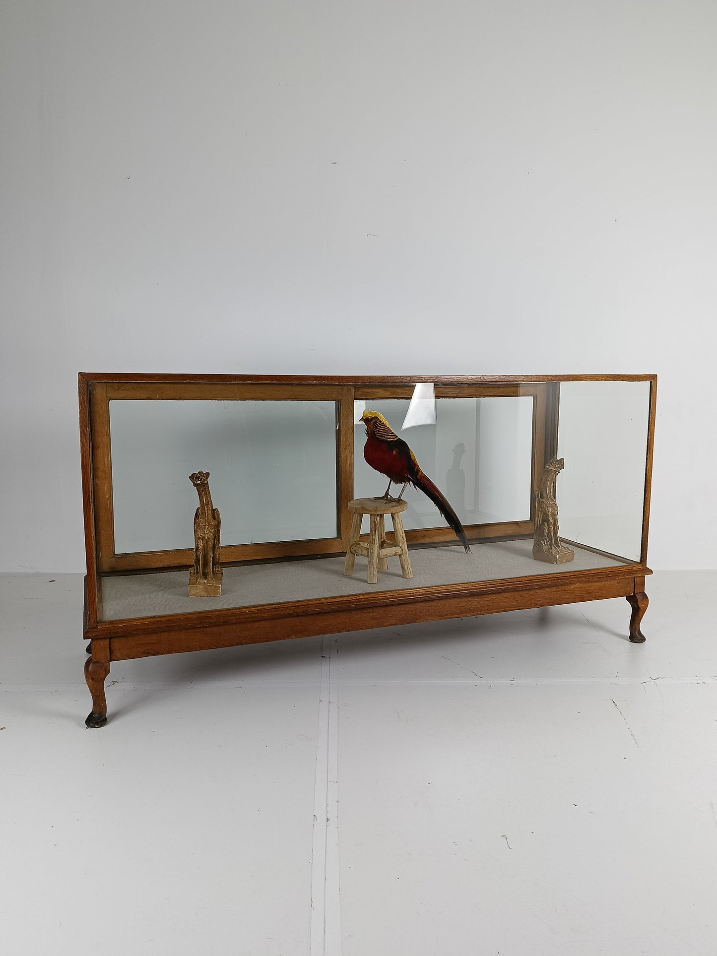 Antique Large Glass Dispay Cabinet / Shop Counter