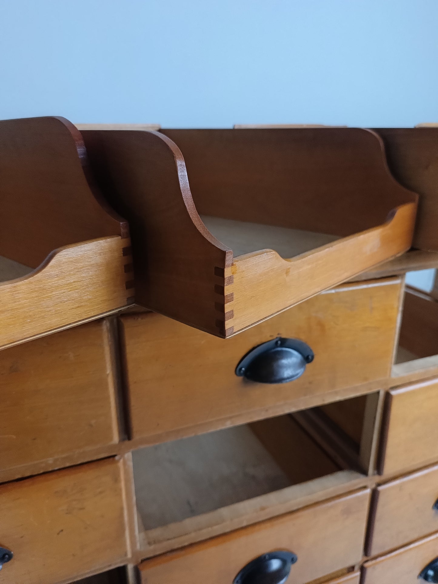 Antique English Hassberry Shop Counter