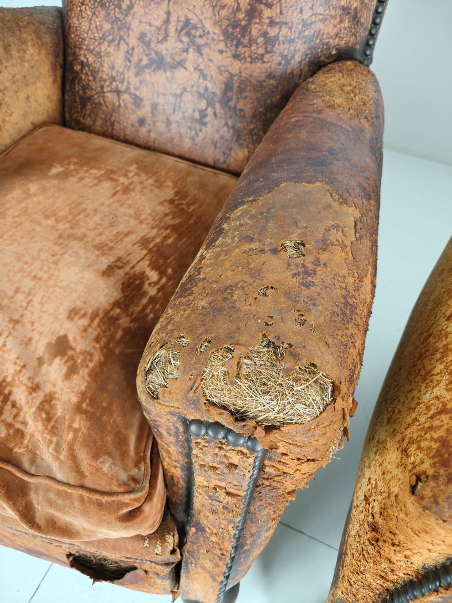 Pair of Antique 19th Century French Club Chairs – Sheep Leather