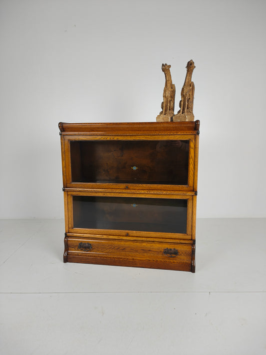 Antique Mahogany Globe-Wernicke Bookcase