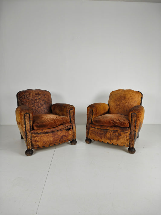 Pair of Antique 19th Century French Club Chairs – Sheep Leather