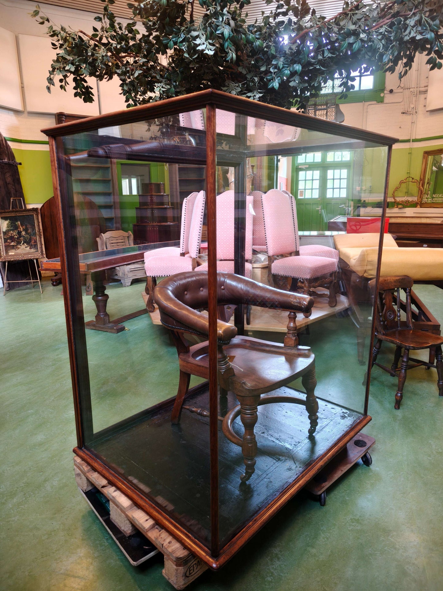 19th Century Mahogany Museum Display Cabinet – From the British Museum, London 19th Century Mahogany Museum Display Cabinet – From the British Museum, London