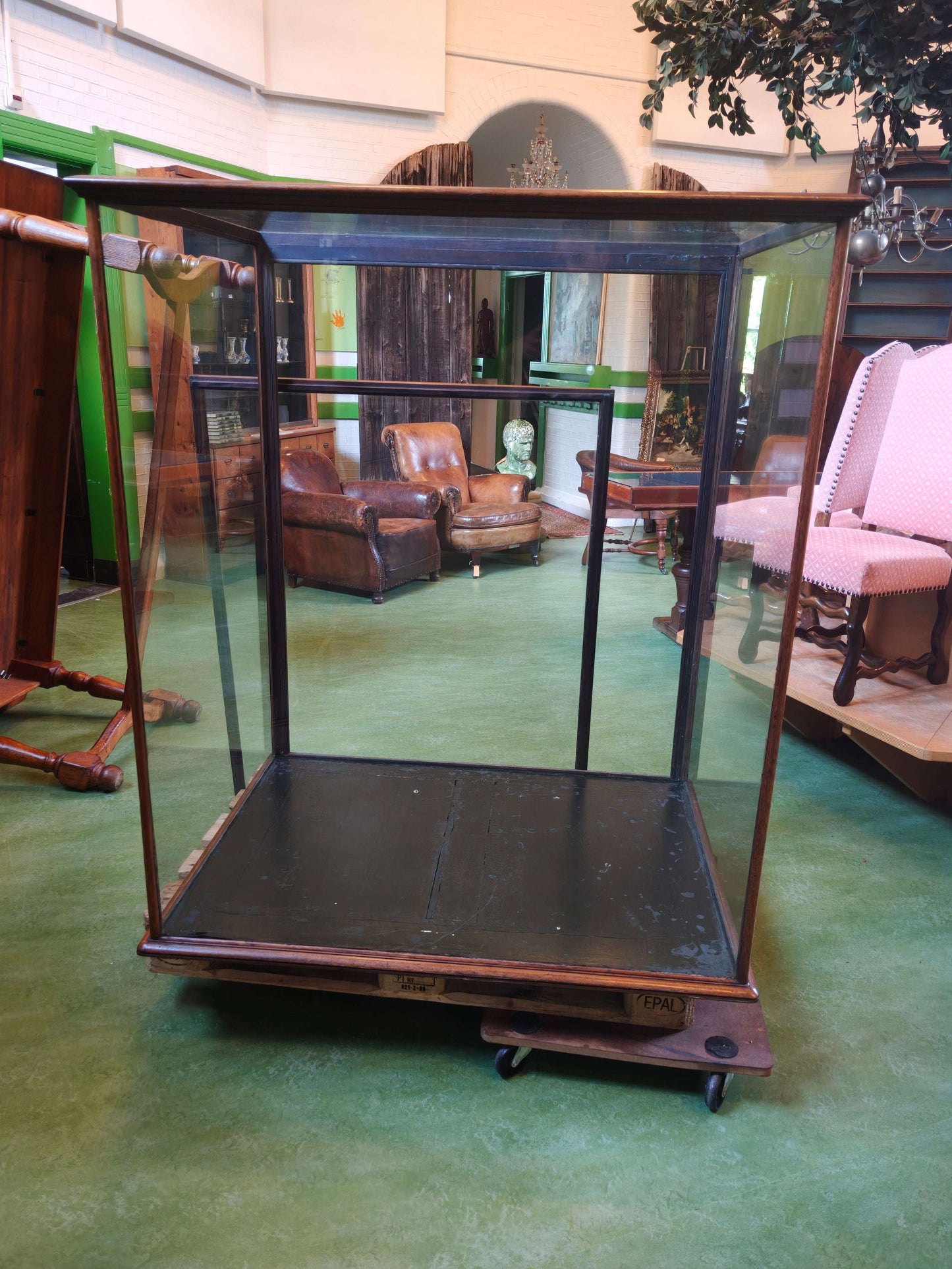 19th Century Mahogany Museum Display Cabinet – From the British Museum, London 19th Century Mahogany Museum Display Cabinet – From the British Museum, London