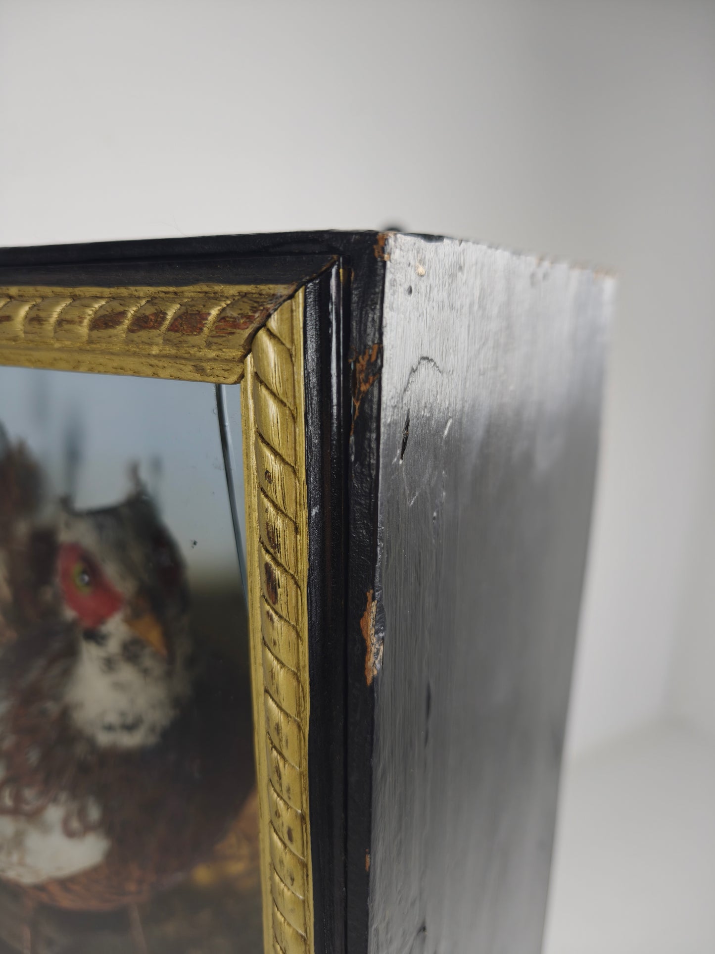 Fine 19th Century Cased Taxidermy by James Hutchings – Two Pheasants with Decorative Background