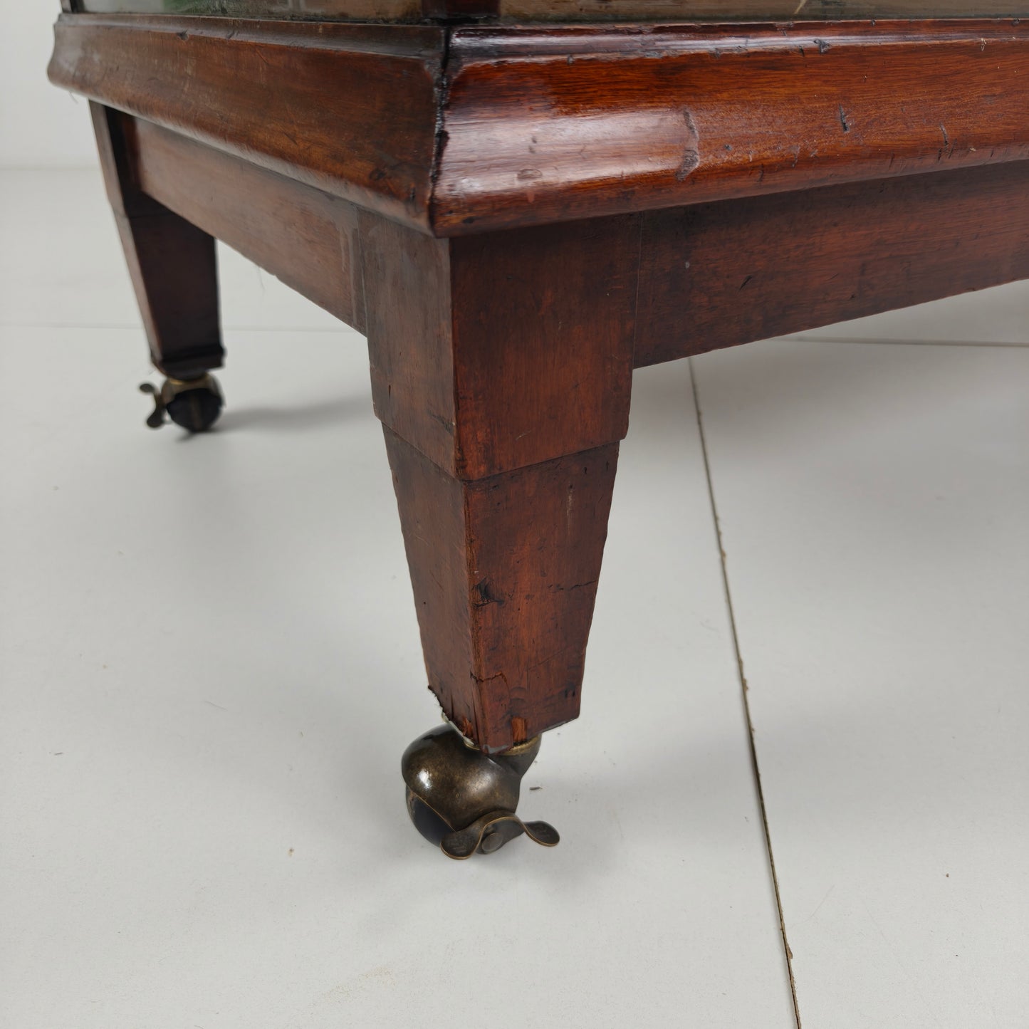 English Shop Display / Shop Counter (1910–1920)