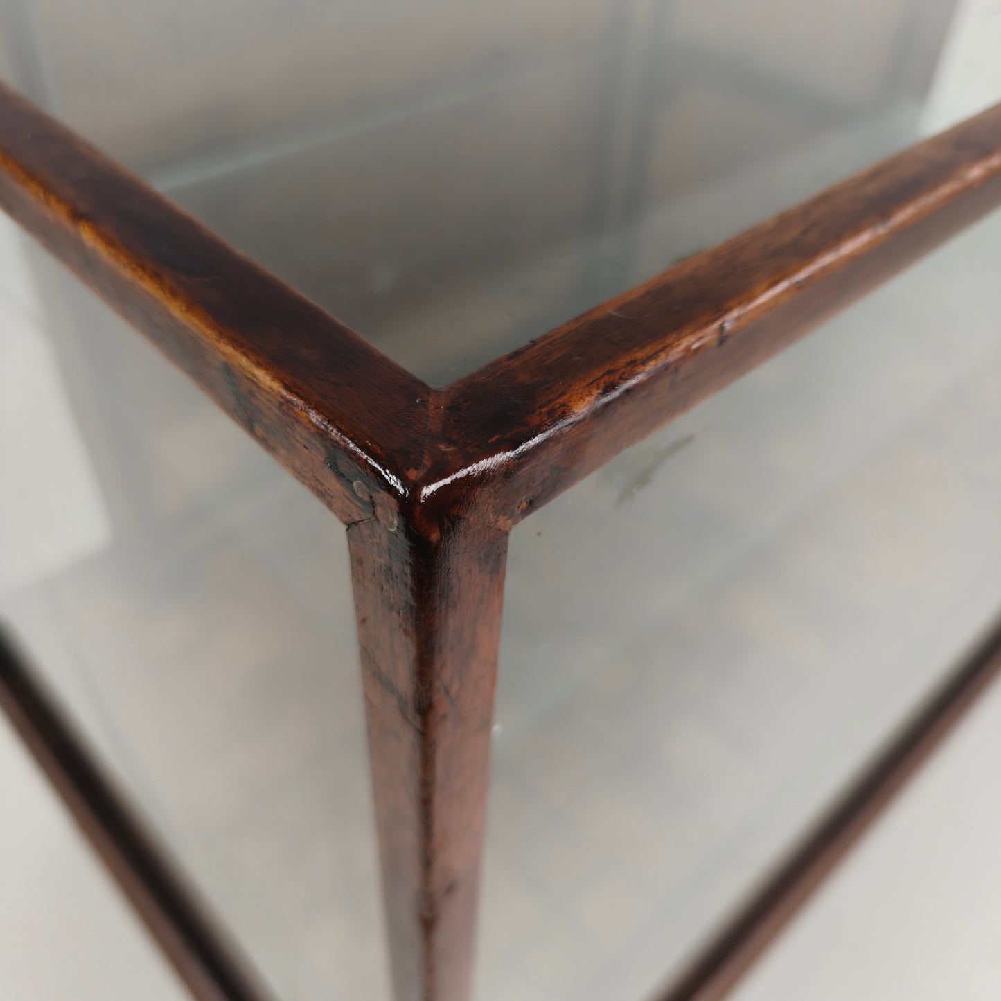 English Shop Display / Shop Counter (1910–1920)