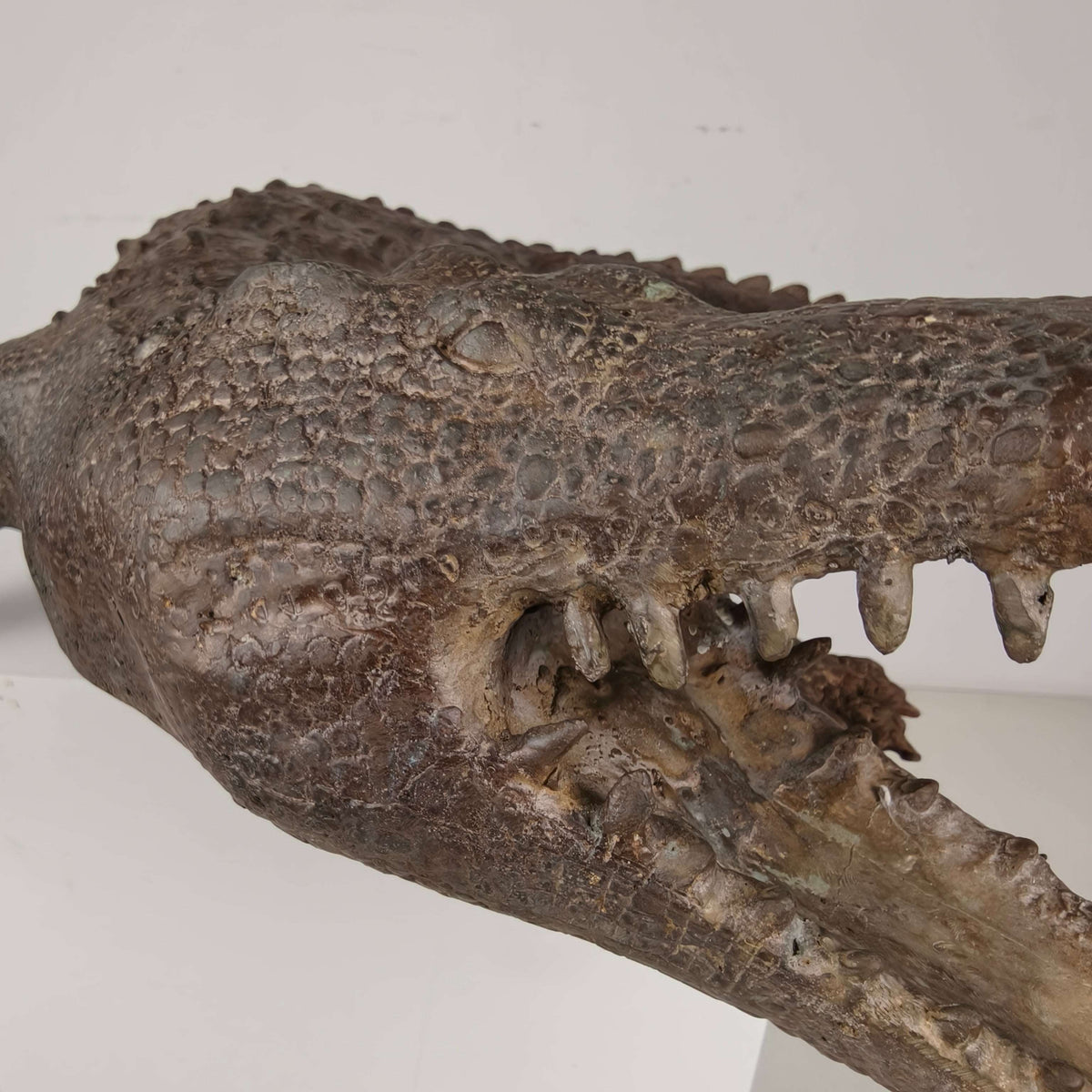 20th Century Monumental Bronze Crocodile Sculpture 20th Century Monumental Bronze Crocodile Sculpture
