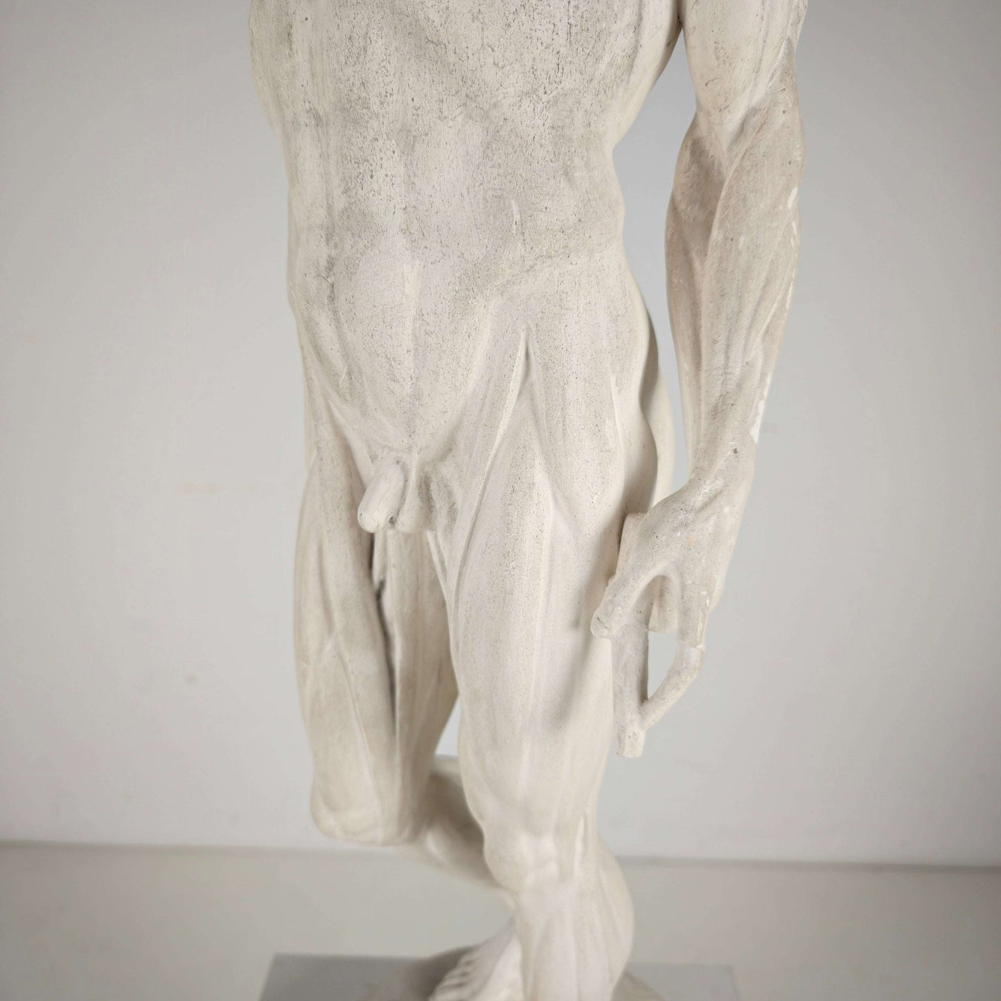 Écorché Anatomical Model – Plaster Sculpture Écorché Anatomical Model – Plaster Sculpture