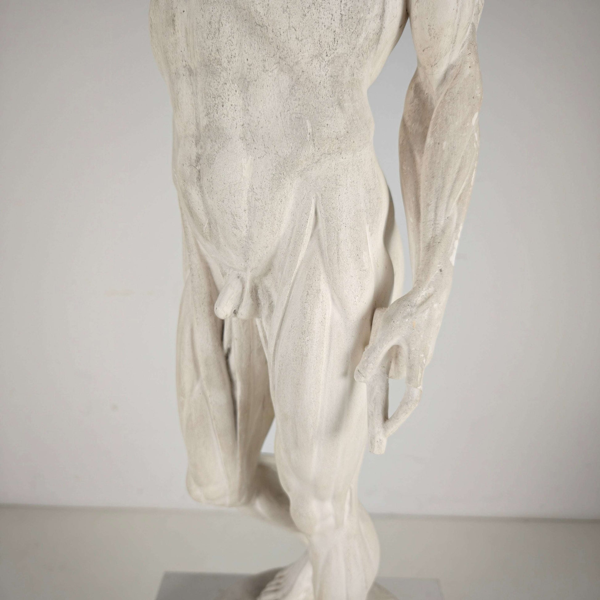 Écorché Anatomical Model – Plaster Sculpture Écorché Anatomical Model – Plaster Sculpture