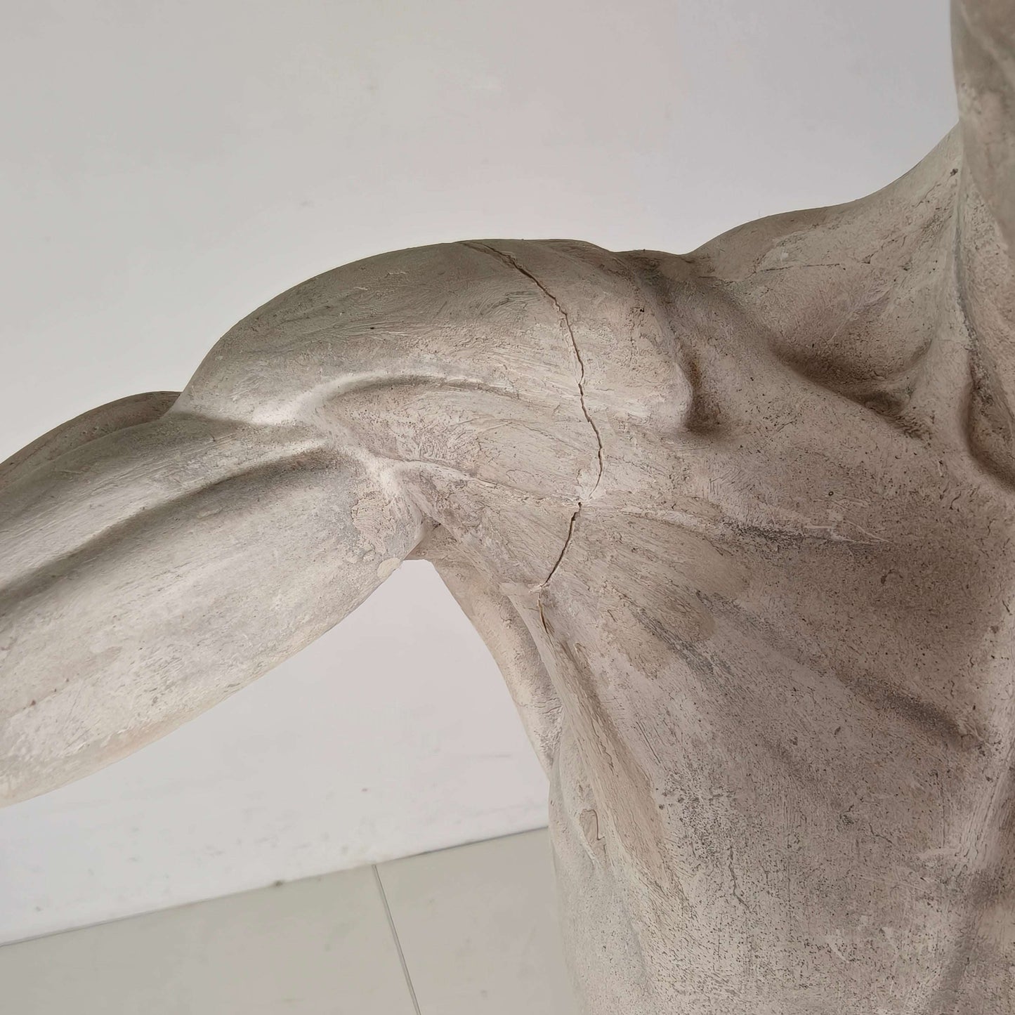Écorché Anatomical Model – Plaster Sculpture Écorché Anatomical Model – Plaster Sculpture