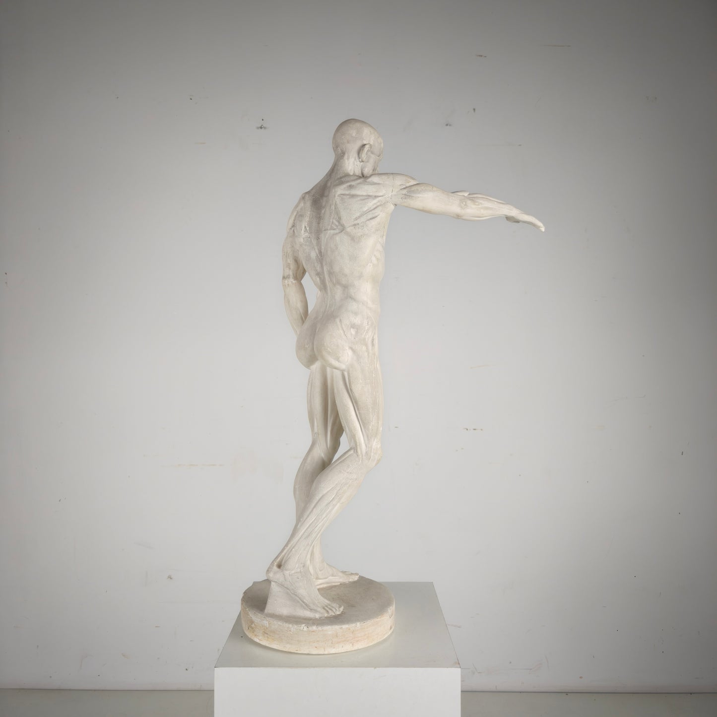 Écorché Anatomical Model – Plaster Sculpture Écorché Anatomical Model – Plaster Sculpture