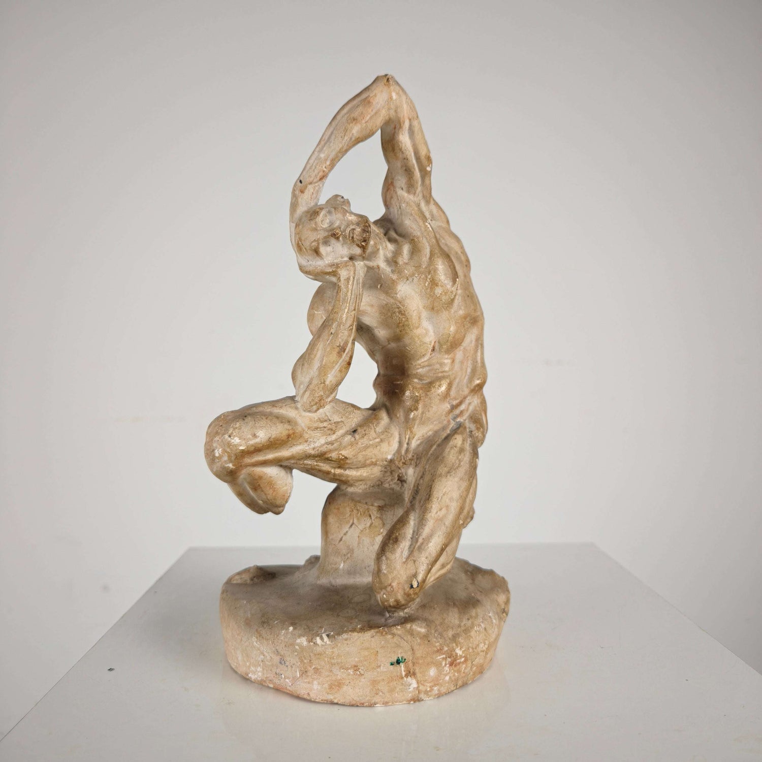 Écorché Anatomical Model – Plaster Sculpture