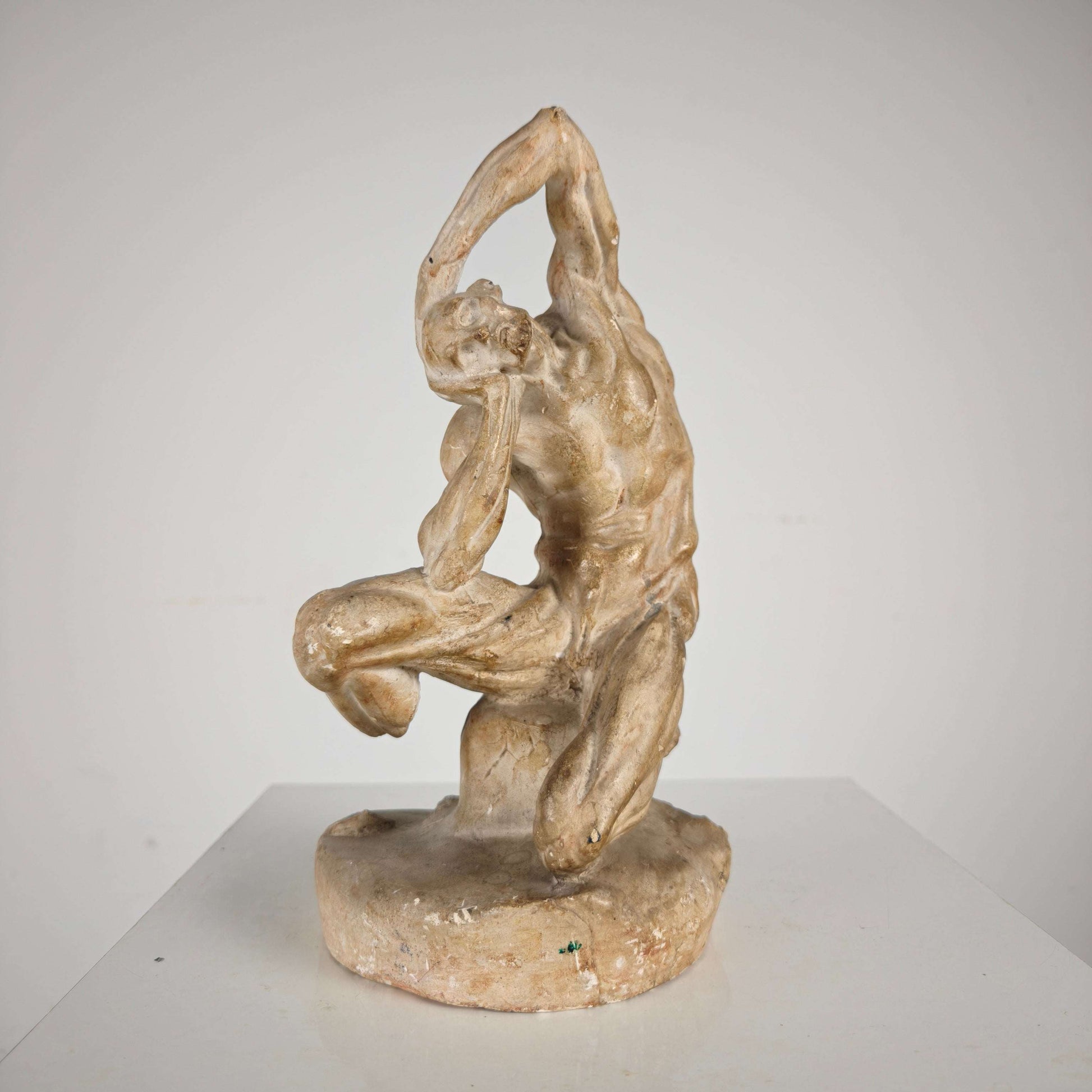 Écorché Anatomical Model – Plaster Sculpture Écorché Anatomical Model – Plaster Sculpture