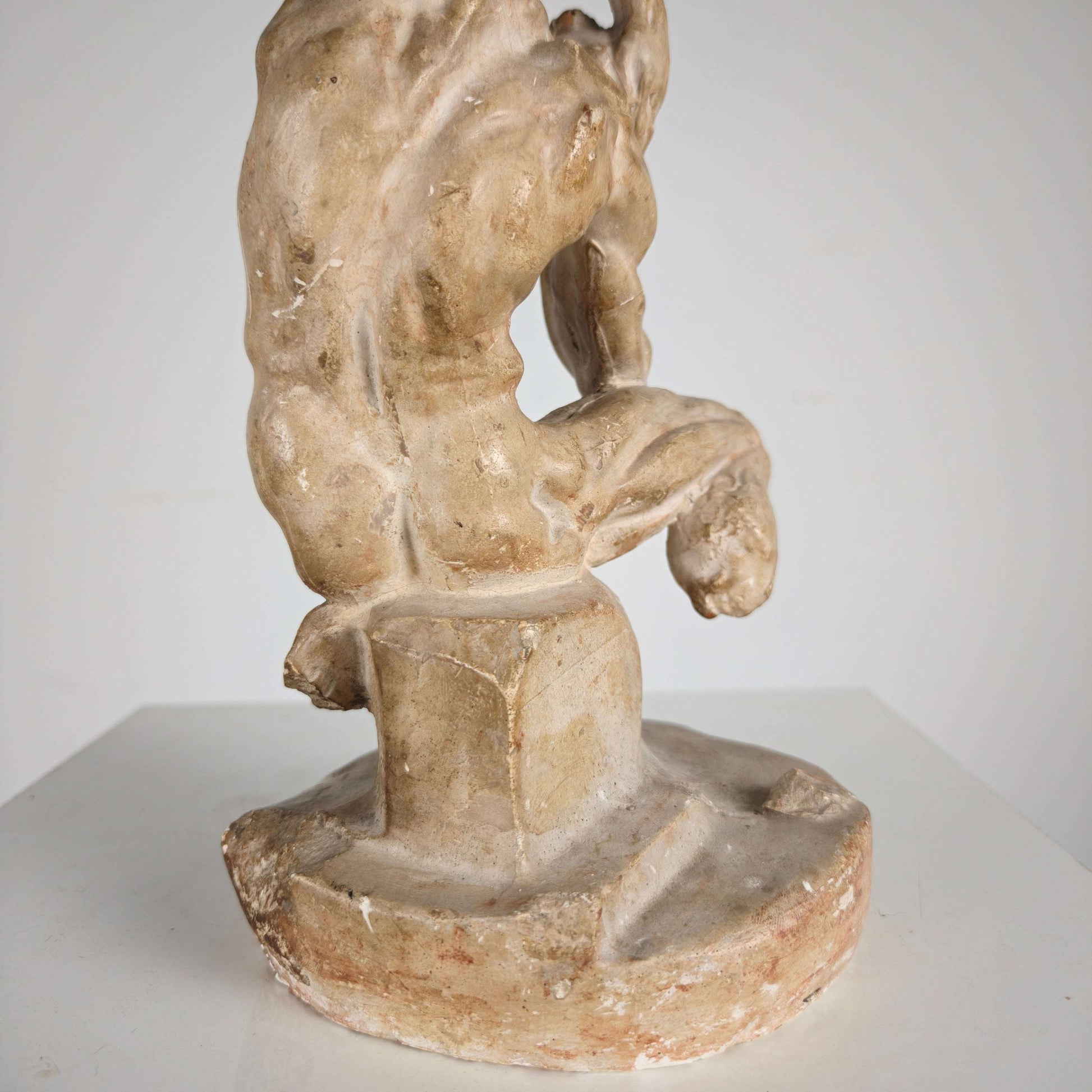 Écorché Anatomical Model – Plaster Sculpture Écorché Anatomical Model – Plaster Sculpture