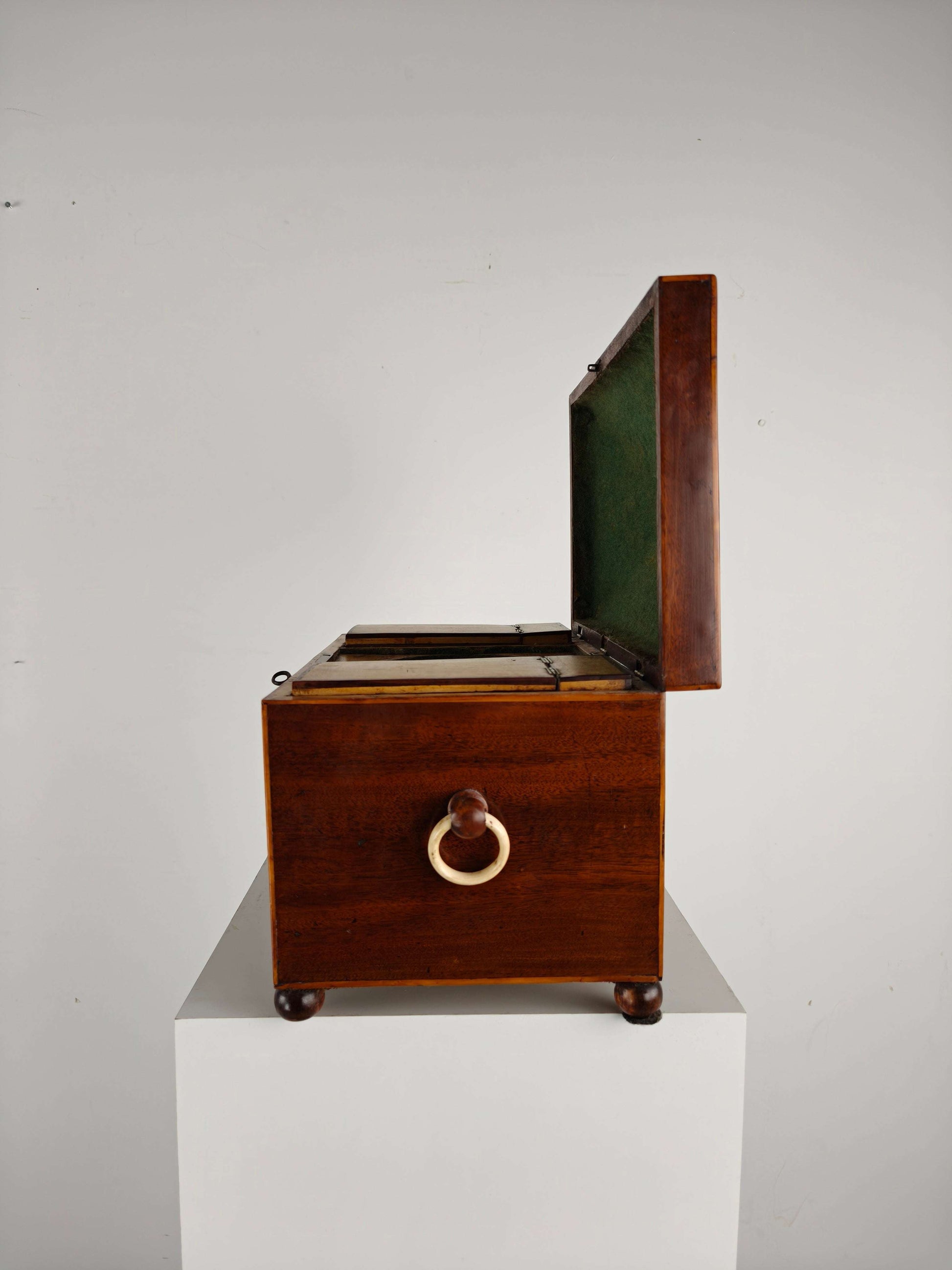 Antique English Rosewood Tea box, Early 19th Century Antique English Rosewood Tea box, Early 19th Century