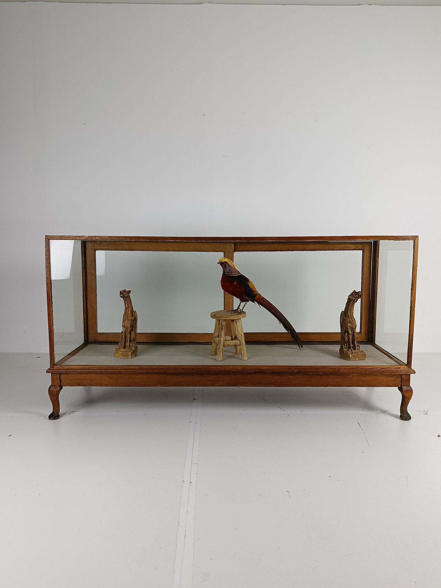 Antique Large Glass Display Cabinet / Shop Counter Antique Large Glass Display Cabinet / Shop Counter