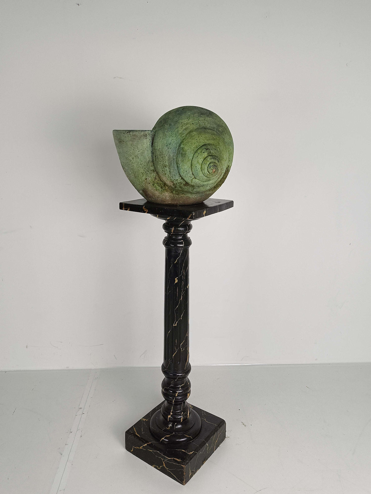 Beautiful Terracotta Cochlea With Amazing Patina Beautiful Terracotta Cochlea With Amazing Patina