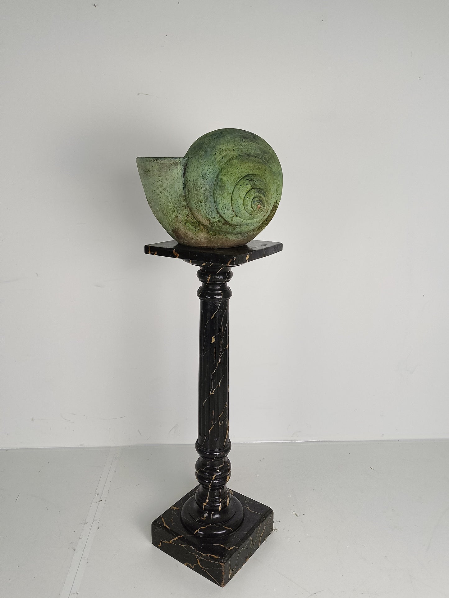 Beautiful Terracotta Cochlea With Amazing Patina Beautiful Terracotta Cochlea With Amazing Patina
