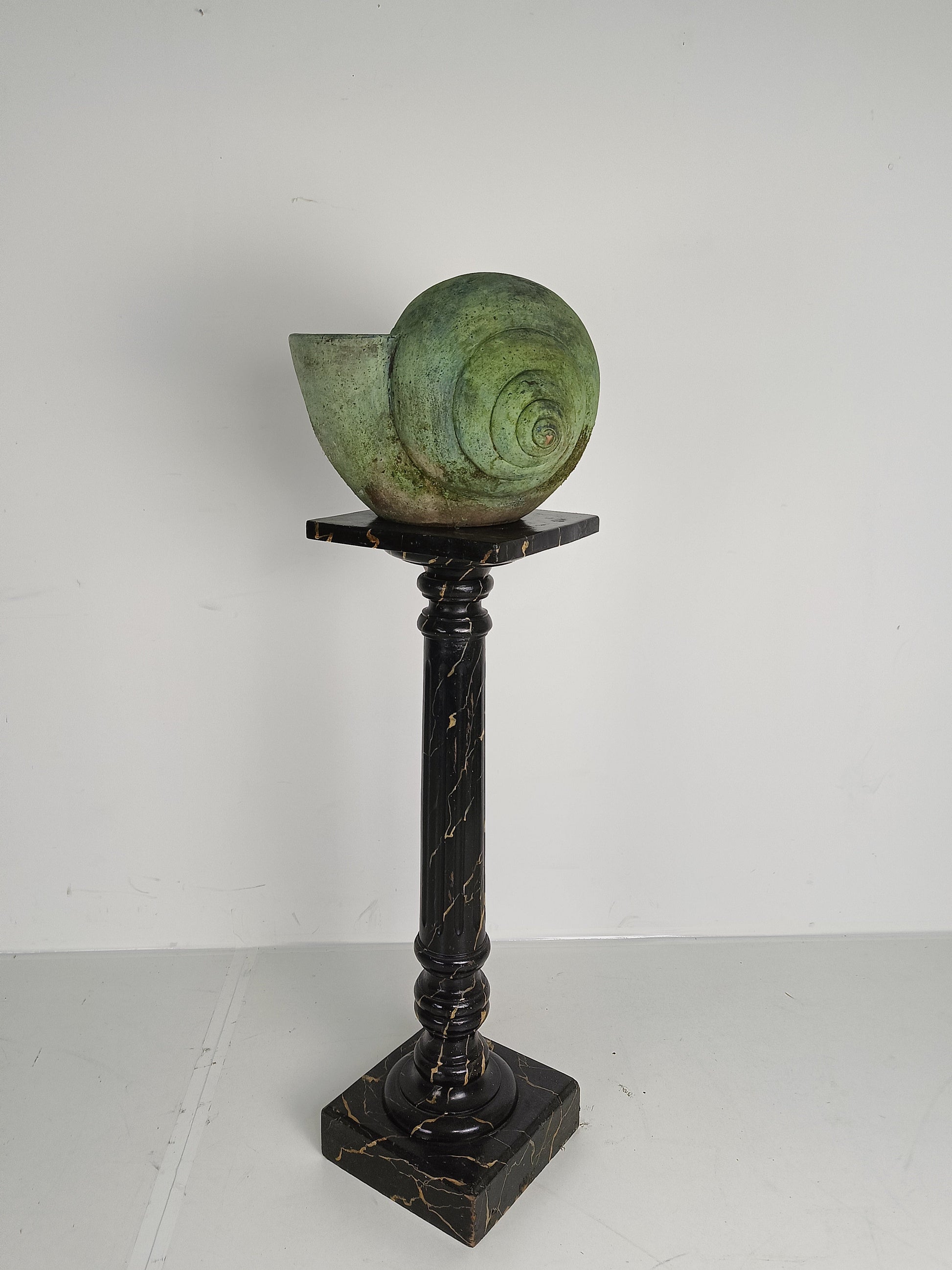 Beautiful Terracotta Cochlea With Amazing Patina Beautiful Terracotta Cochlea With Amazing Patina