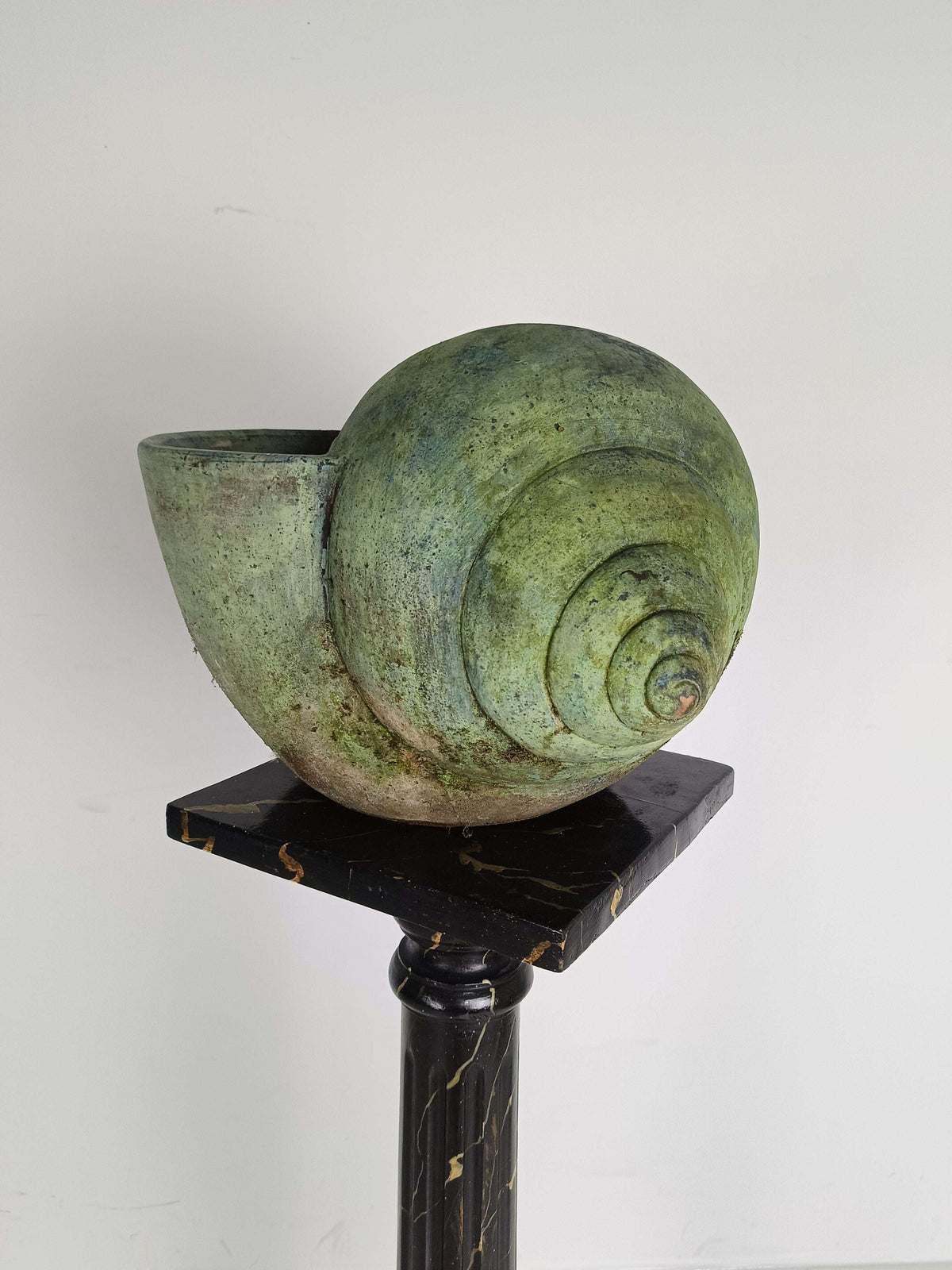 Beautiful Terracotta Cochlea With Amazing Patina Beautiful Terracotta Cochlea With Amazing Patina