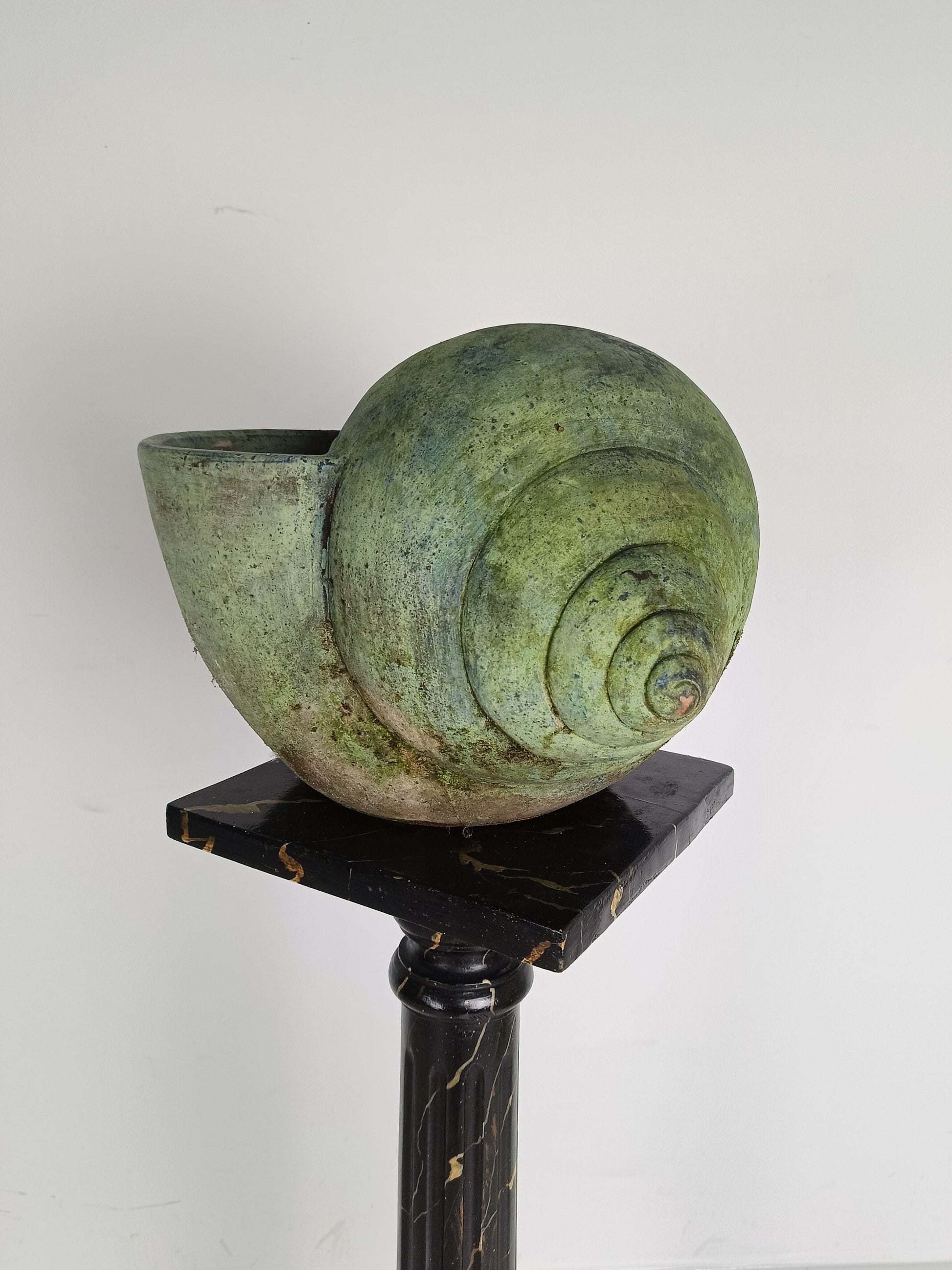 Beautiful Terracotta Cochlea With Amazing Patina Beautiful Terracotta Cochlea With Amazing Patina
