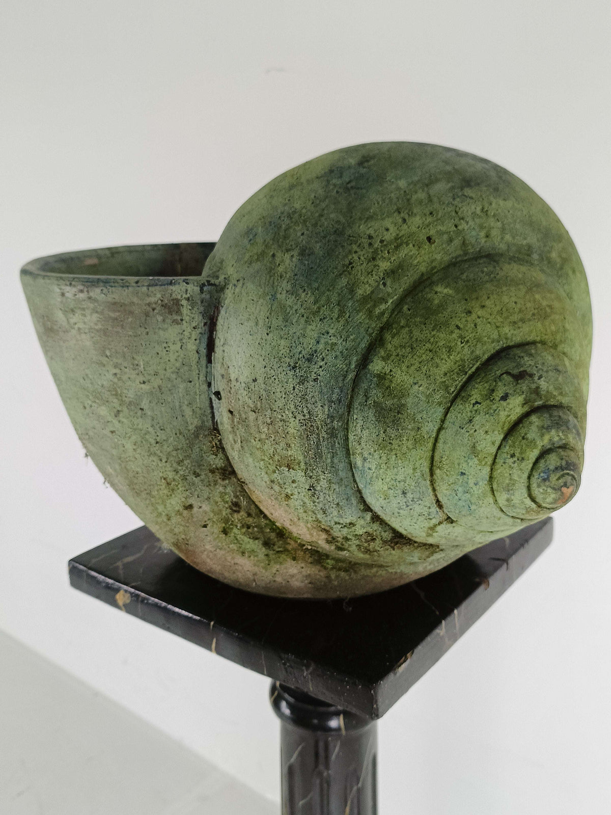 Beautiful Terracotta Cochlea With Amazing Patina Beautiful Terracotta Cochlea With Amazing Patina