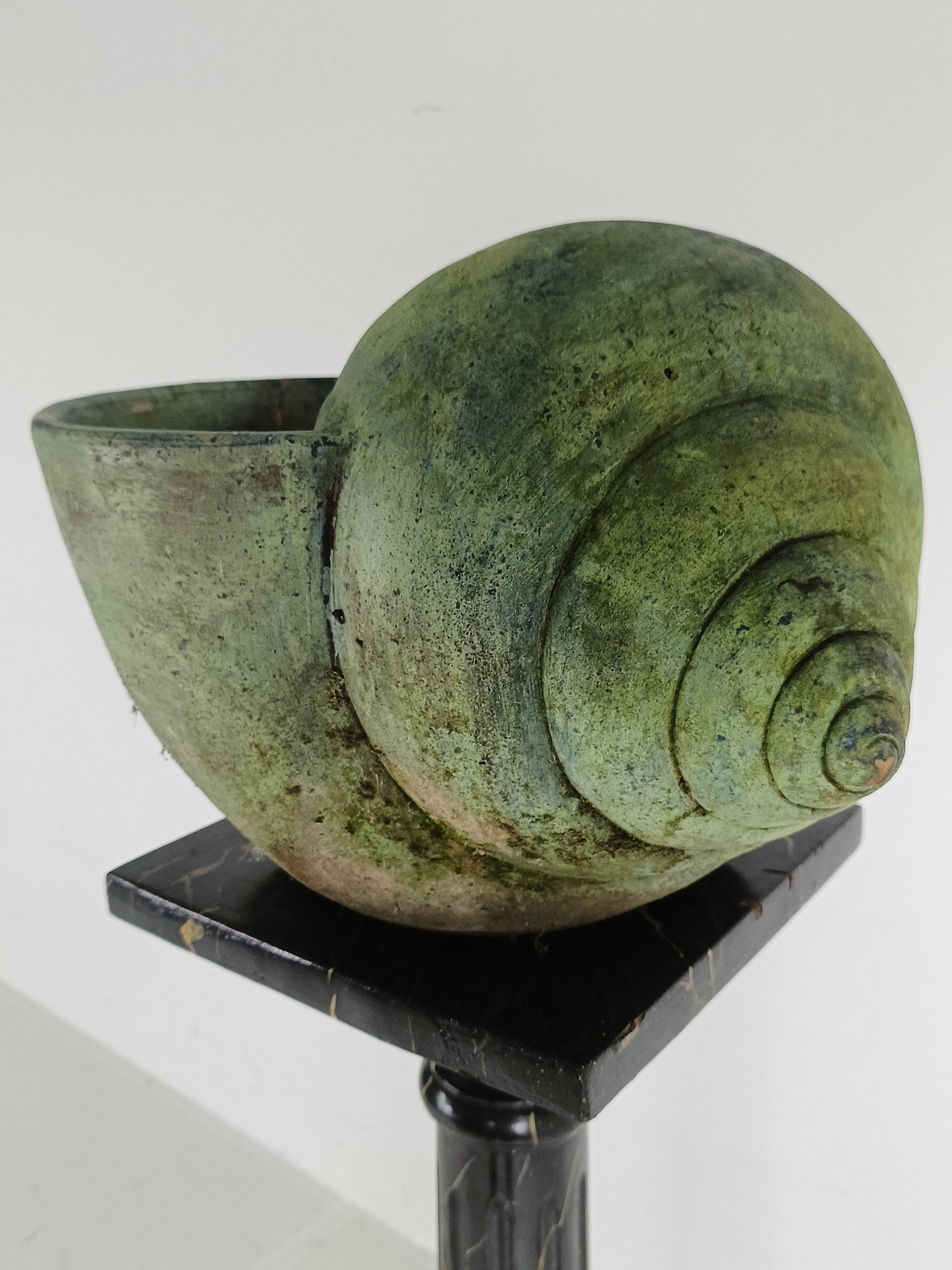 Beautiful Terracotta Cochlea With Amazing Patina Beautiful Terracotta Cochlea With Amazing Patina