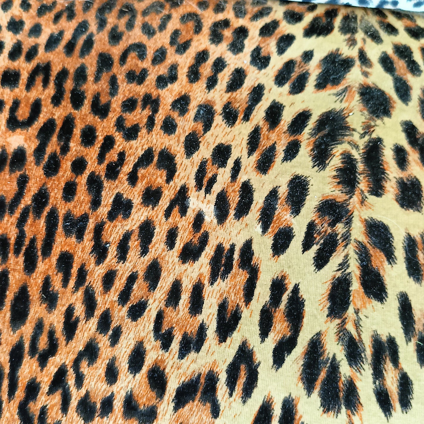 Biedermeyer Style Sofa In Leopard Trim Biedermeyer Style Sofa In Leopard Trim