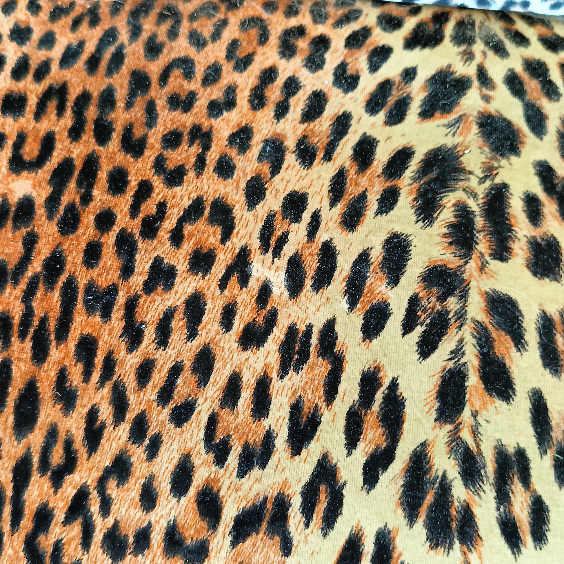 Biedermeyer Style Sofa In Leopard Trim Biedermeyer Style Sofa In Leopard Trim