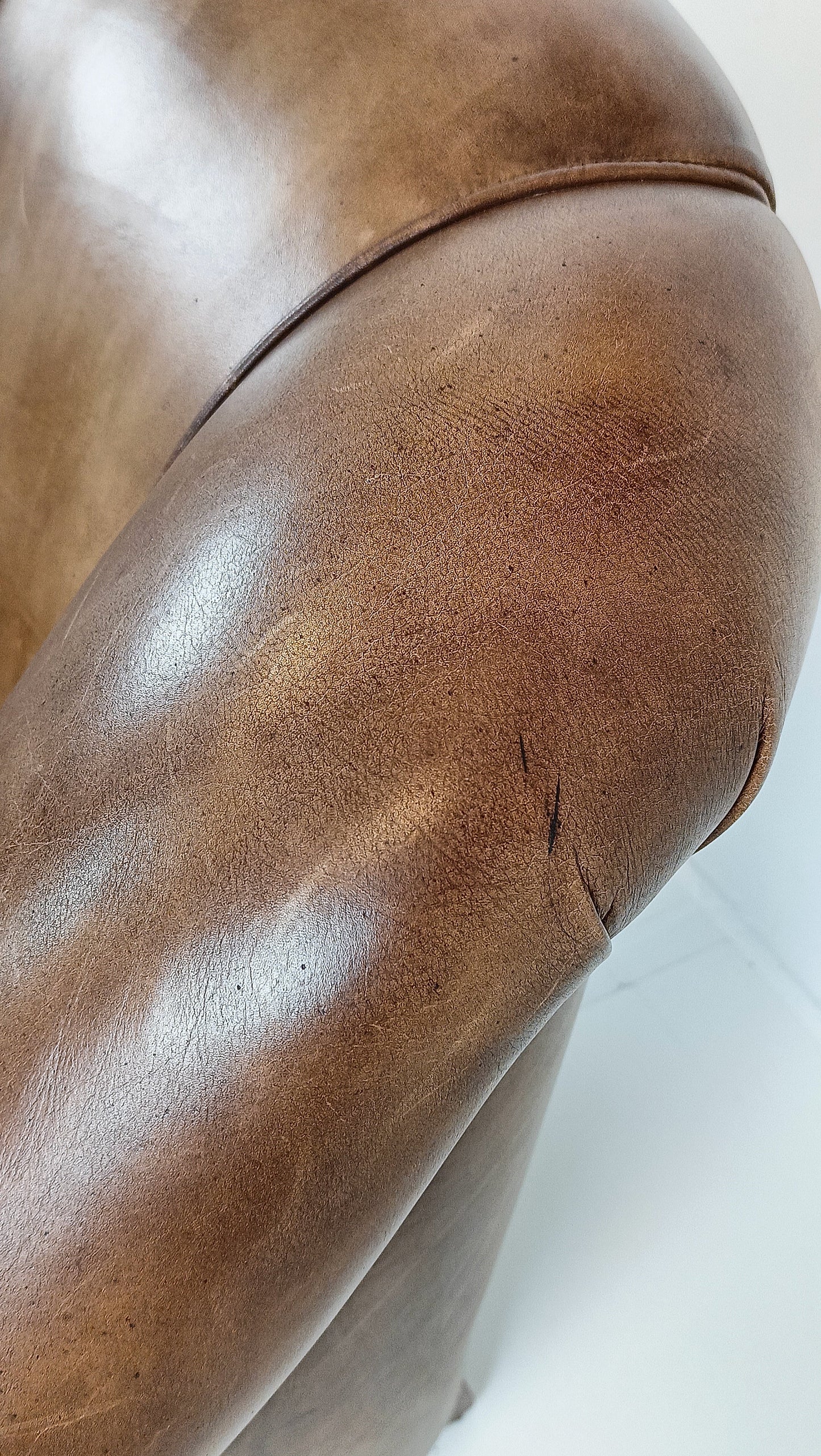 Bovine Leather Arm Chair Bovine Leather Arm Chair