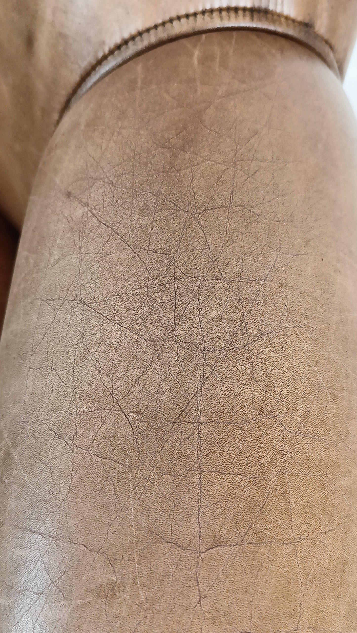 Bovine Leather Arm Chair Bovine Leather Arm Chair