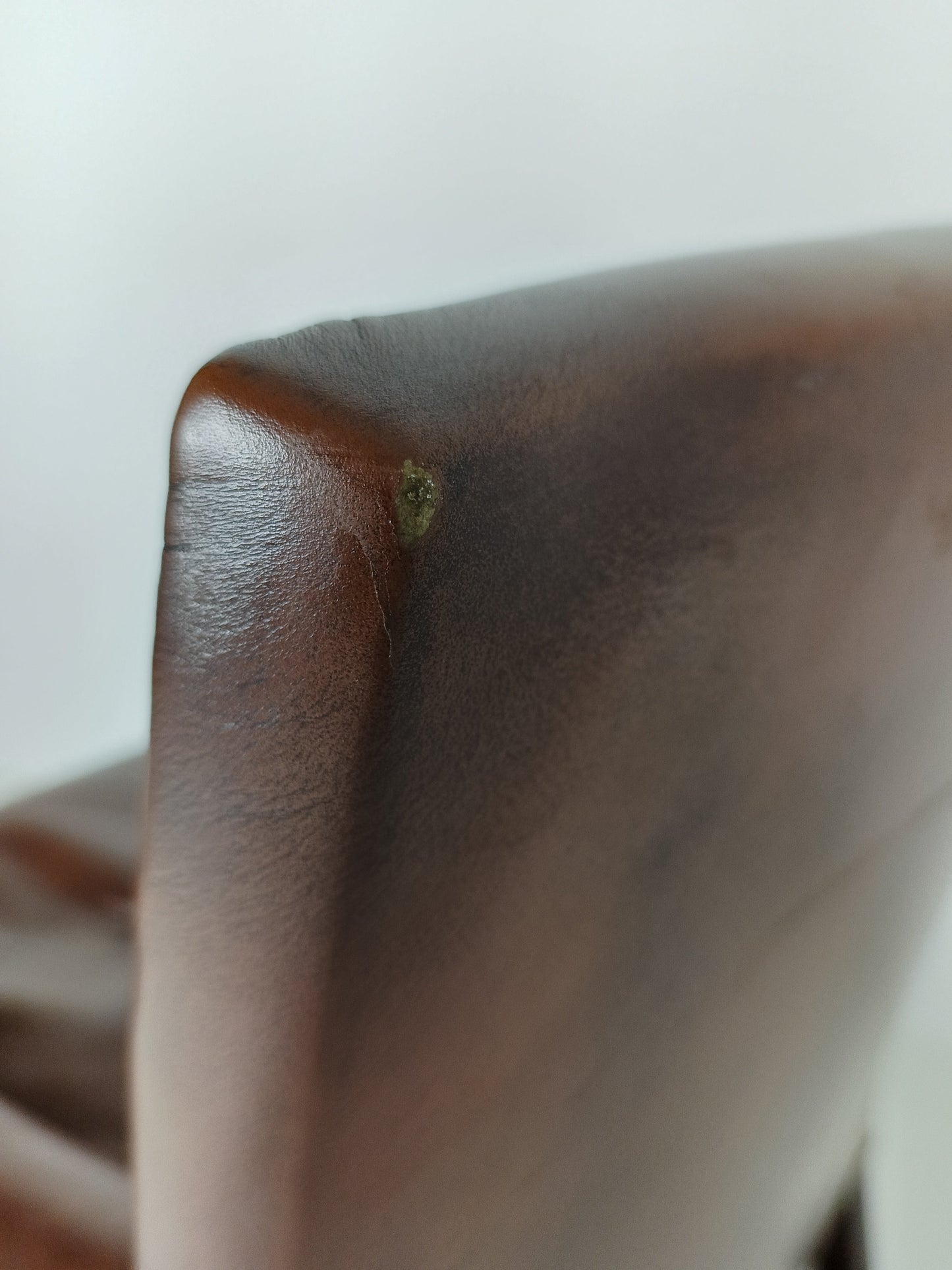 Bovine Leather Classic Design Bovine Leather Classic Design