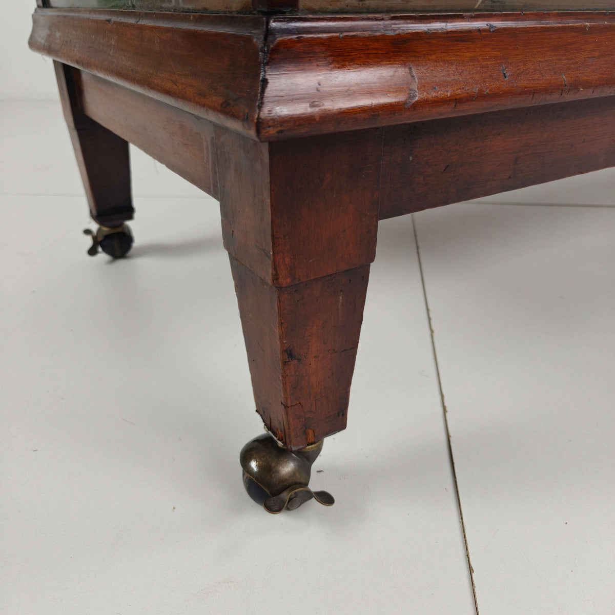 English Shop Display / Shop Counter (1910–1920) English Shop Display / Shop Counter (1910–1920)
