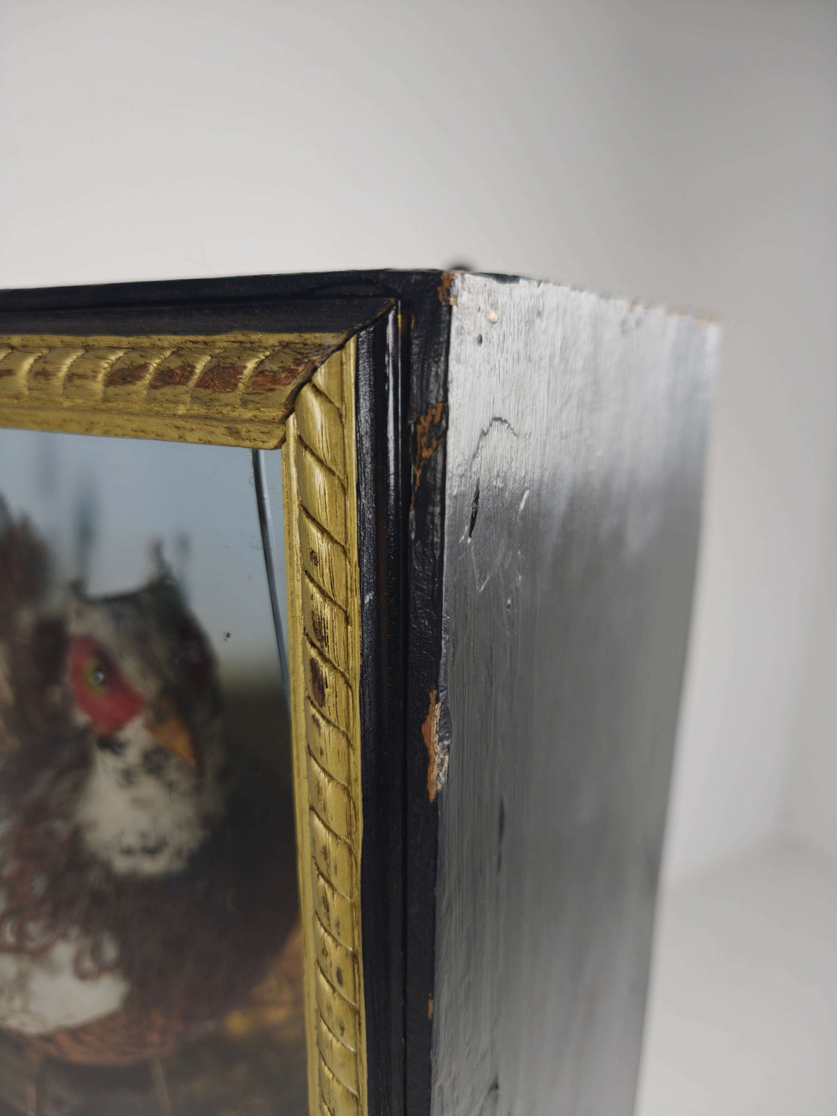 Fine 19th Century Cased Taxidermy by James Hutchings – Two Pheasants with Decorative Background Fine 19th Century Cased Taxidermy by James Hutchings – Two Pheasants with Decorative Background