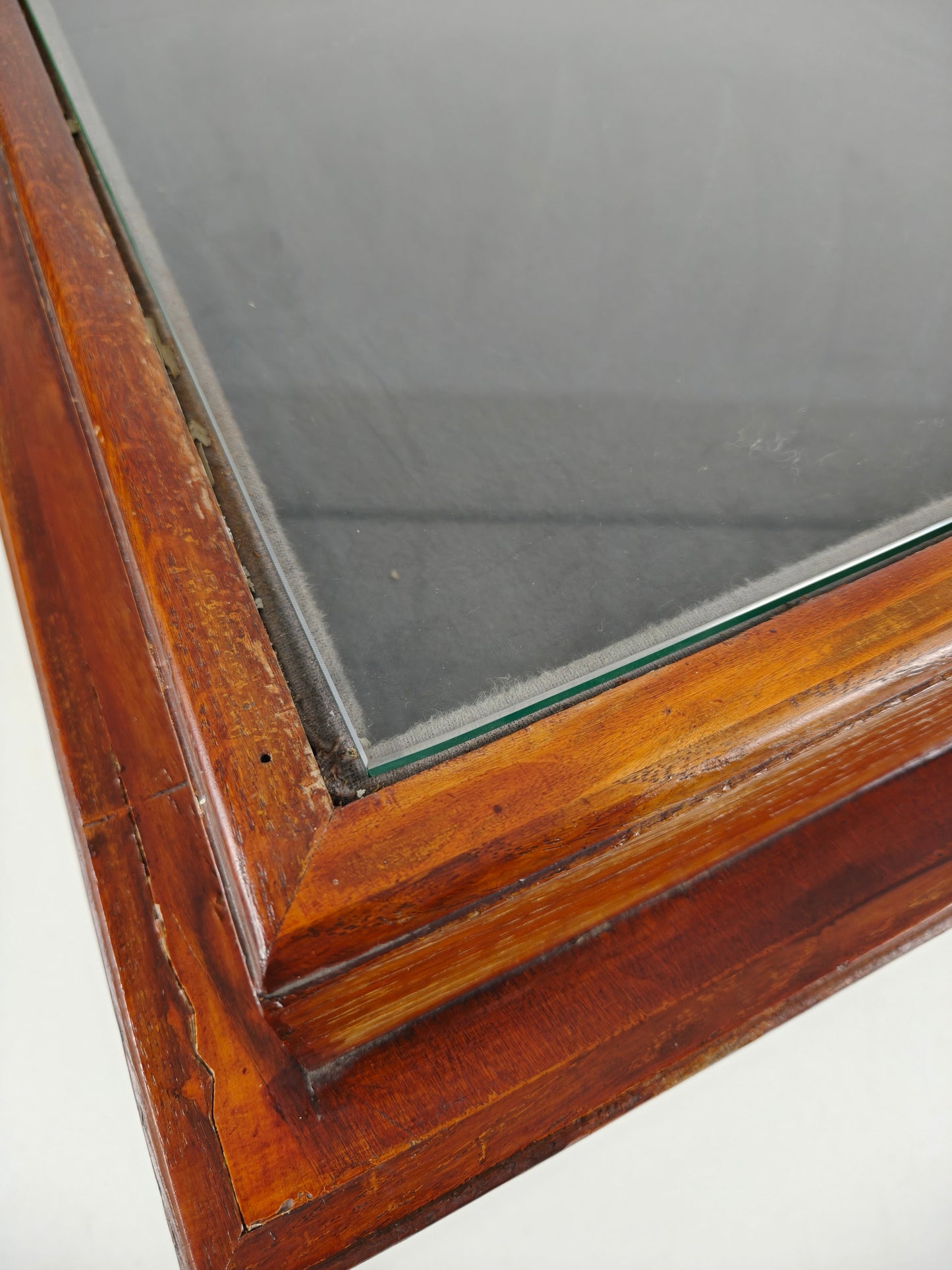 Oak Museum Display Cabinet from the 1940s-50s – Horizontal Curved Model Oak Museum Display Cabinet from the 1940s-50s – Horizontal Curved Model