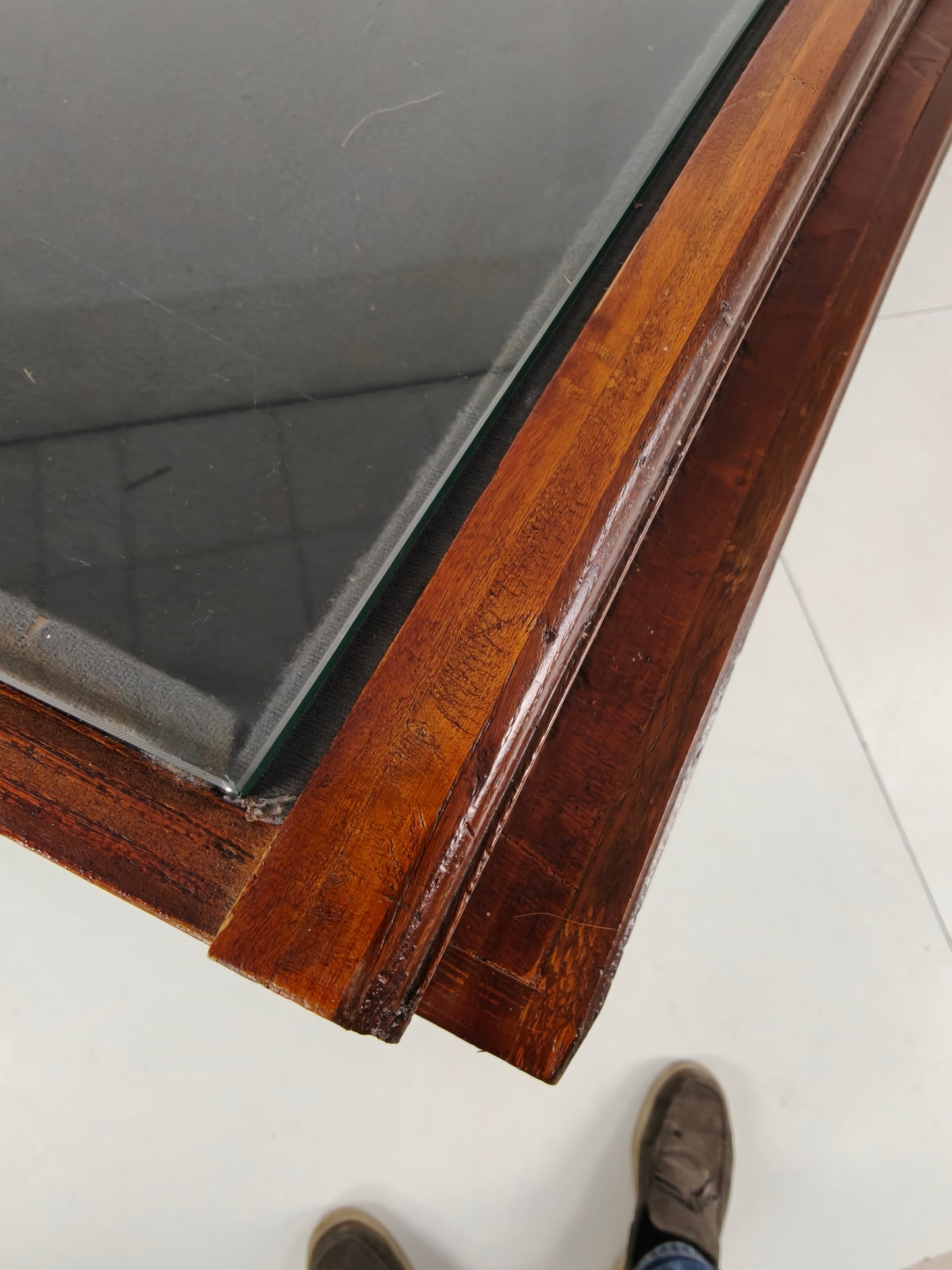 Oak Museum Display Cabinet from the 1940s-50s – Horizontal Curved Model Oak Museum Display Cabinet from the 1940s-50s – Horizontal Curved Model