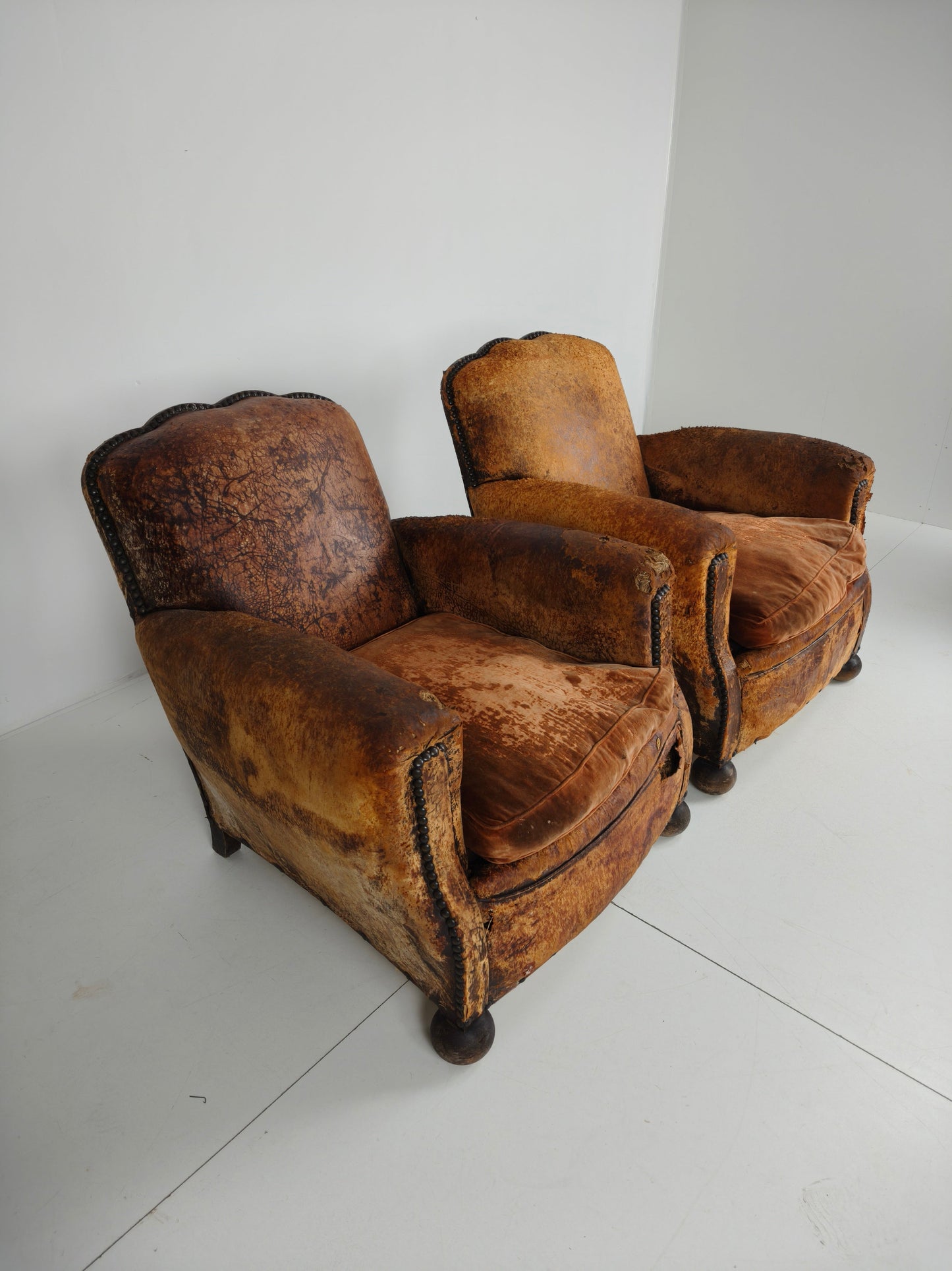 Pair of Antique 19th Century French Club Chairs – Sheep Leather Pair of Antique 19th Century French Club Chairs – Sheep Leather