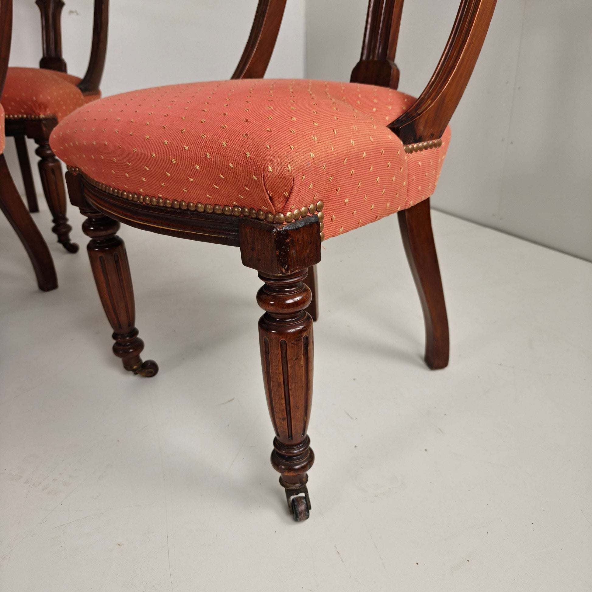 Set of 12 Late Victorian Walnut Dining Chairs with Original Castors Set of 12 Late Victorian Walnut Dining Chairs with Original Castors