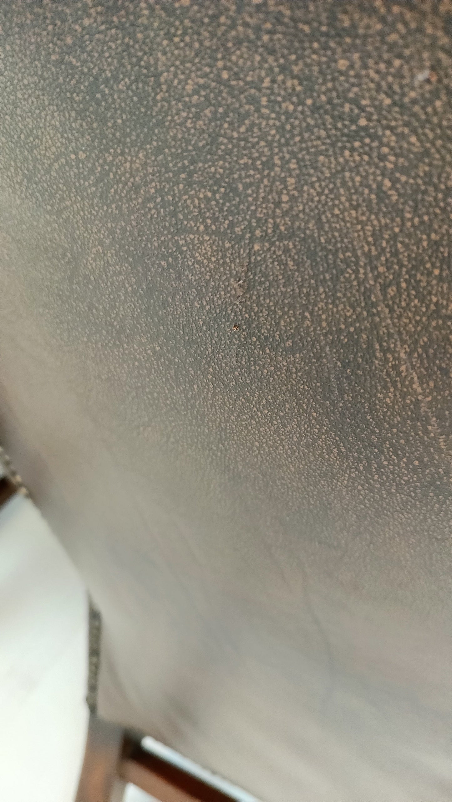 Set Of Bovine Leather Chairs Set Of Bovine Leather Chairs