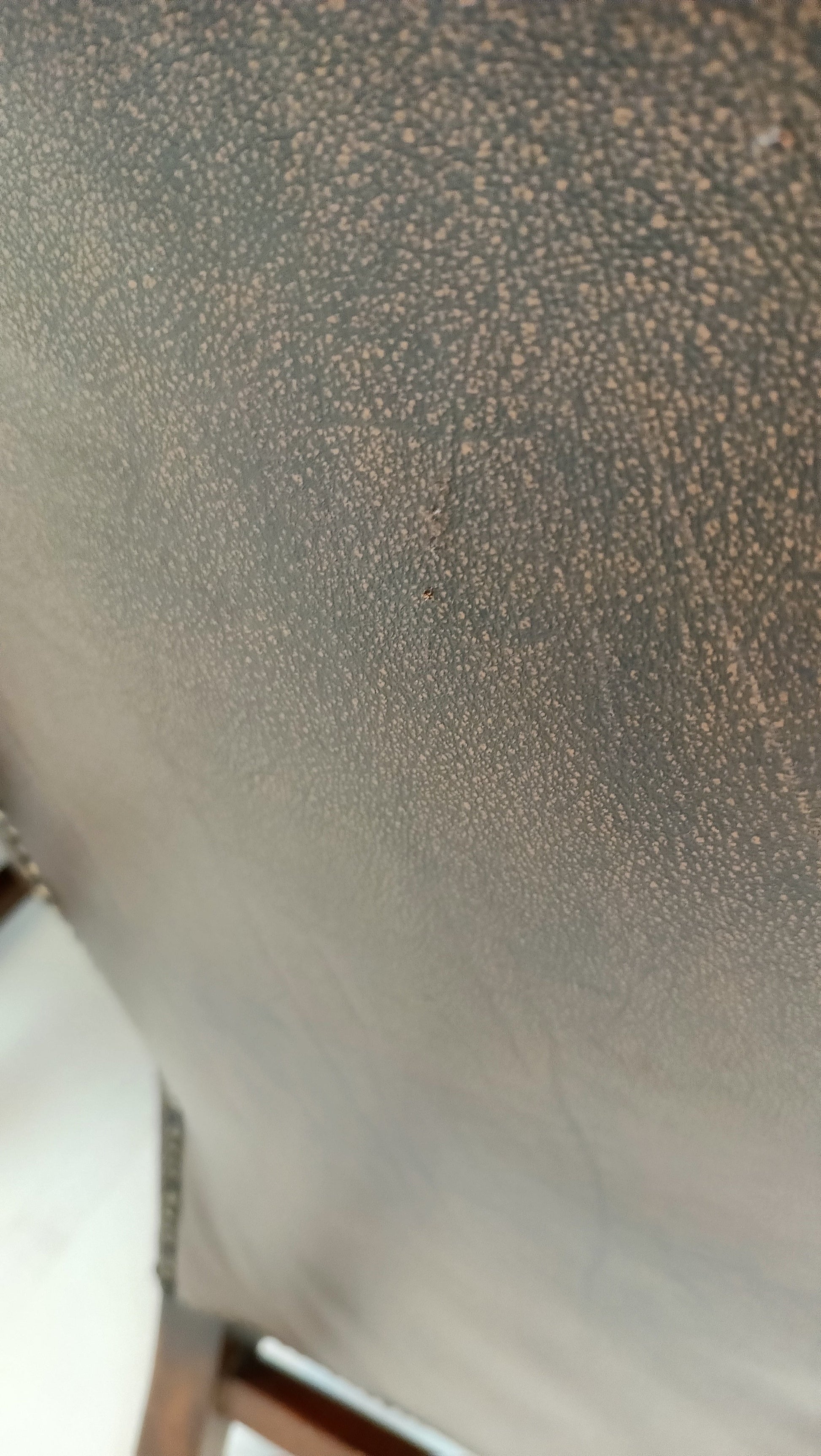 Set Of Bovine Leather Chairs Set Of Bovine Leather Chairs