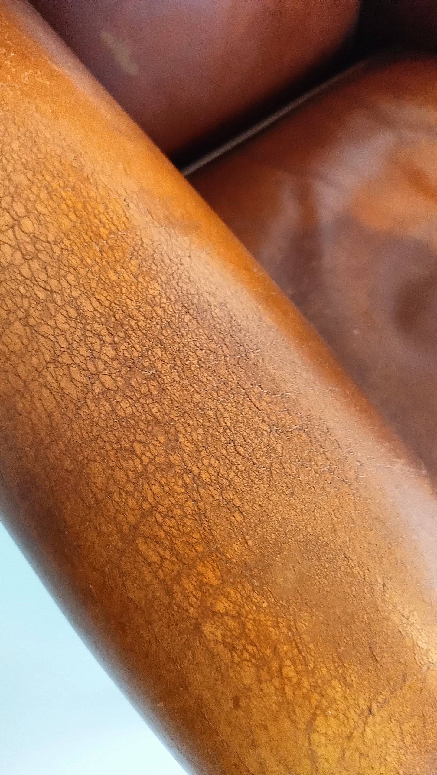 Set of Muylaert Sheep Leather Chairs Set of Muylaert Sheep Leather Chairs