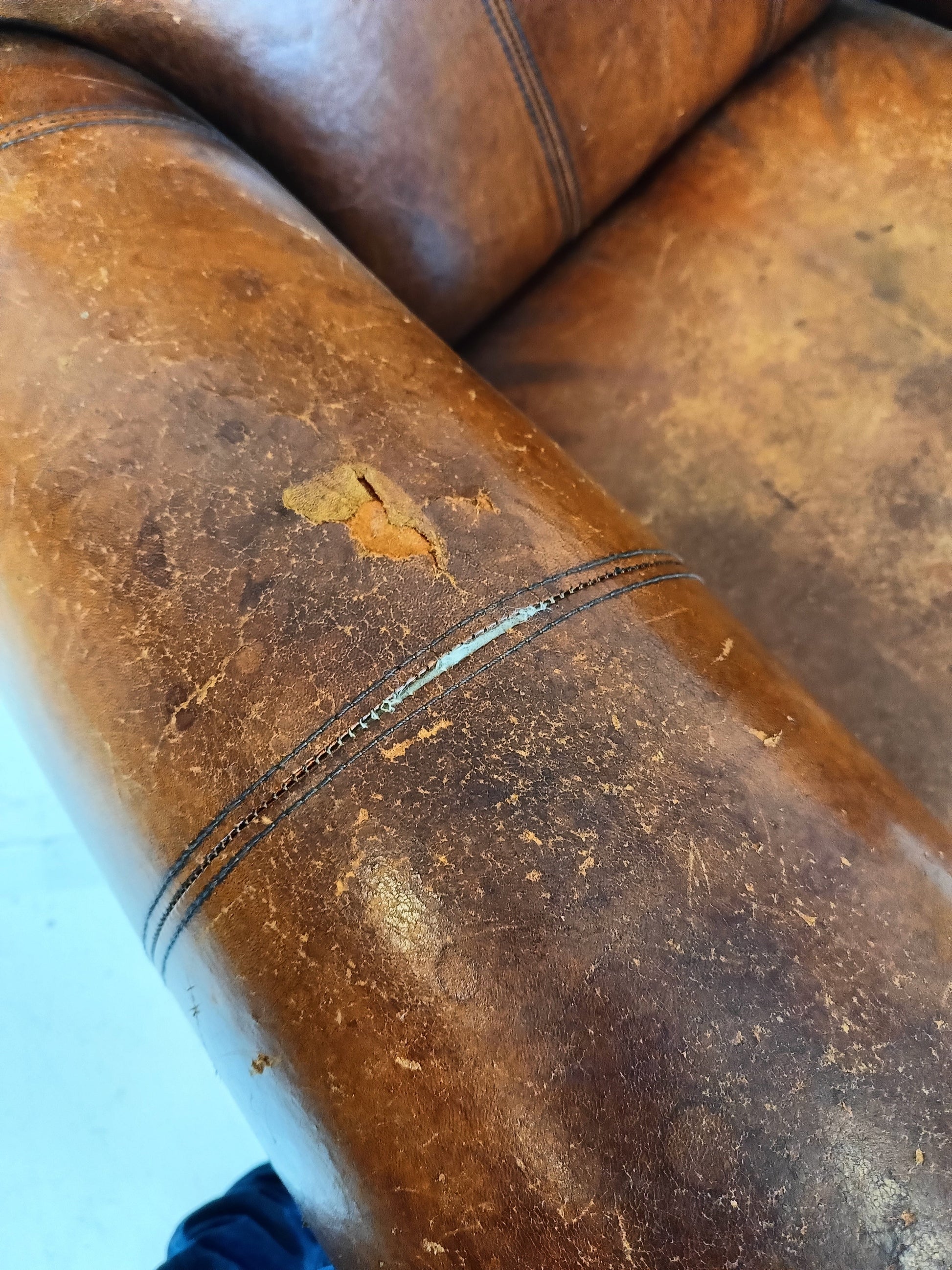 Sheep Leather Club Chair Sheep Leather Club Chair